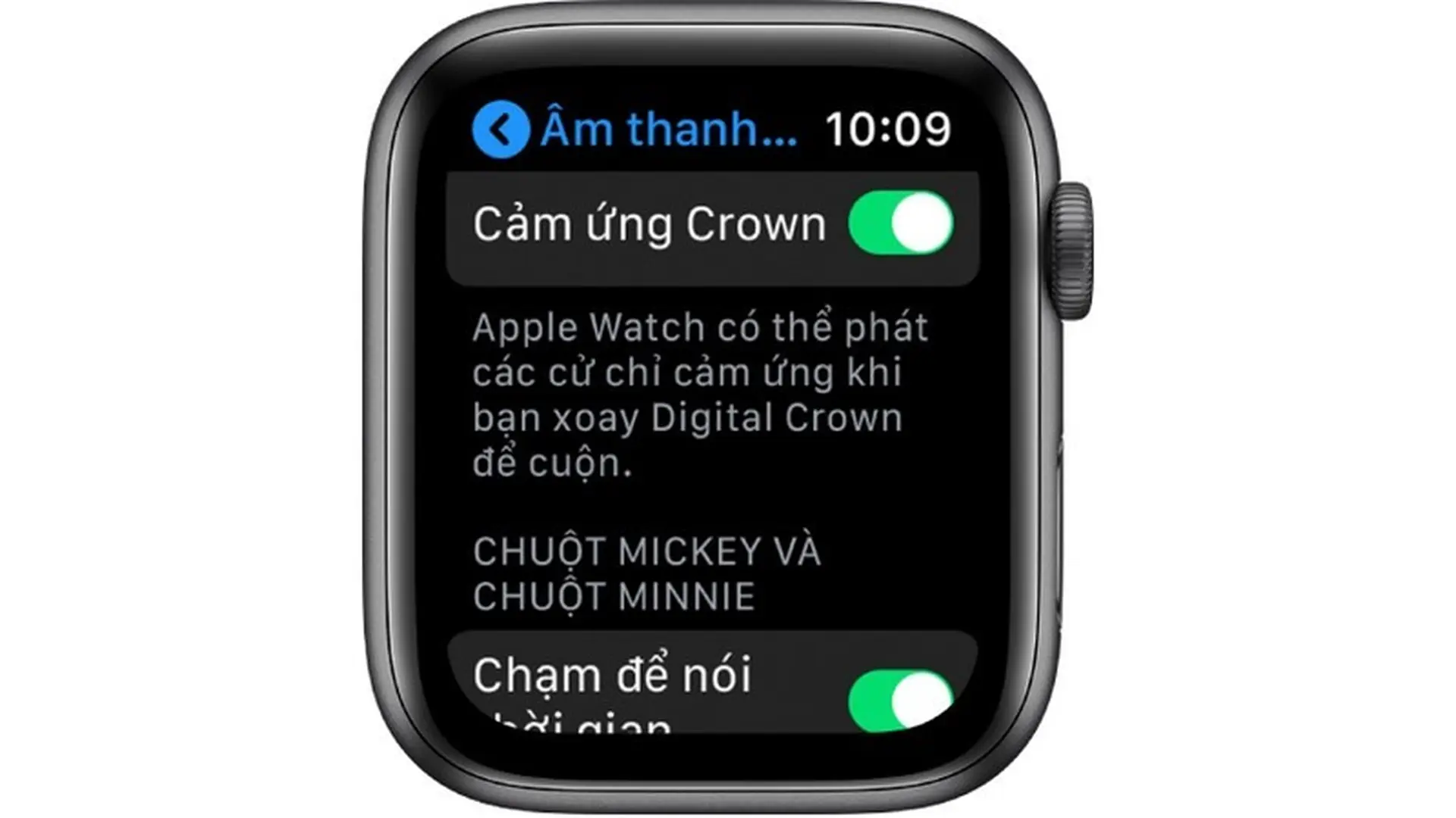 Điều chỉnh độ sáng, kích cỡ văn bản, âm thanh và cảm ứng trên Apple Watch