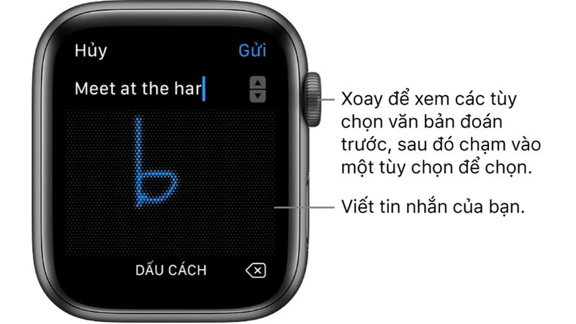 Đọc thư trên Apple Watch