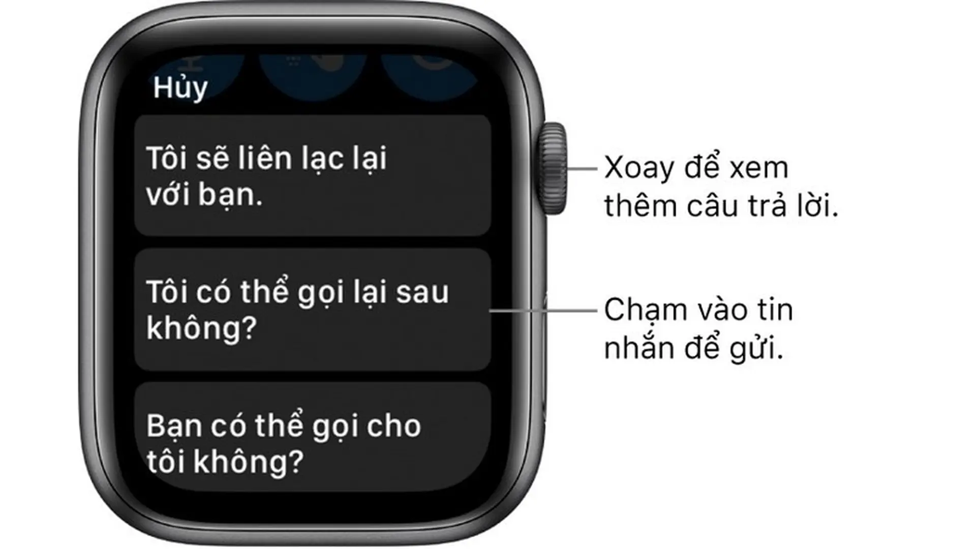 Viết và trả lời thư trên Apple Watch