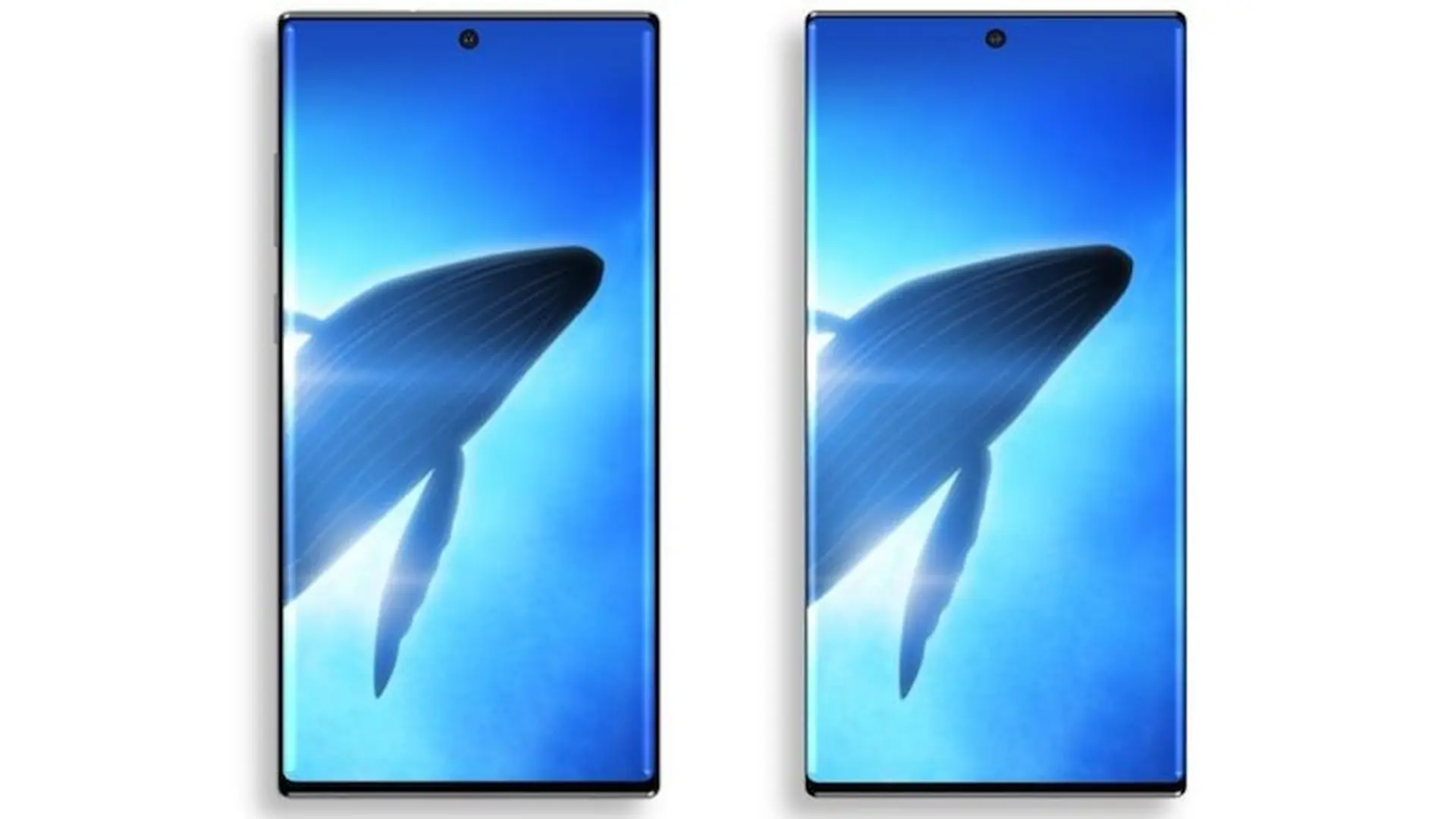 Có một phiên bản khác của Galaxy Note 10 không phím bấm vật lý mang tên Project R6 nhưng đã bị huỷ bỏ