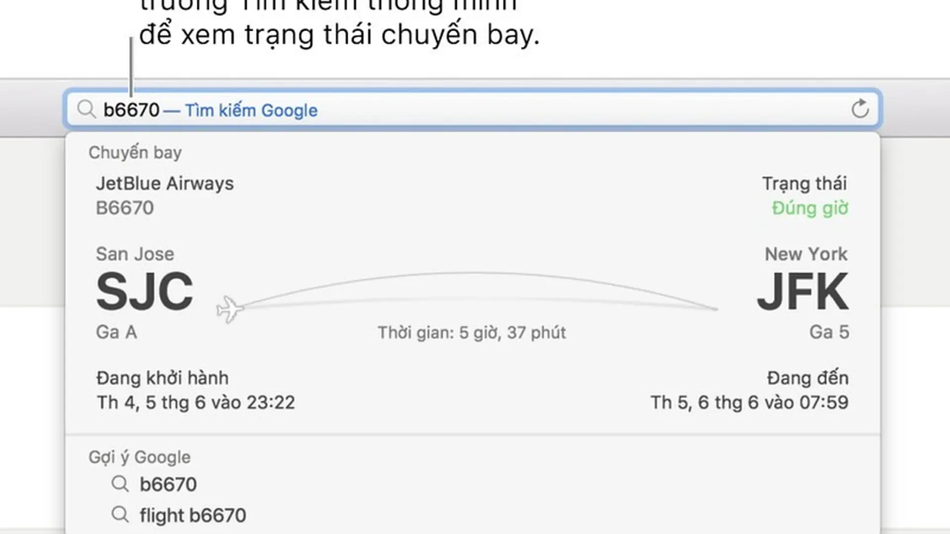 Tìm nội dung bạn đang tìm kiếm bằng Safari trên macOS Big Sur