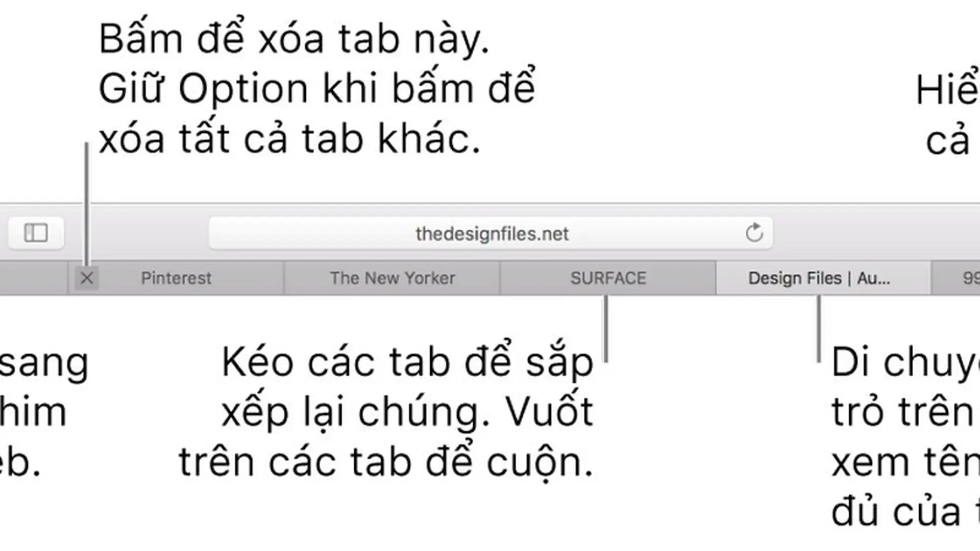 Sử dụng các tab cho các trang web trong Safari trên macOS Big Sur