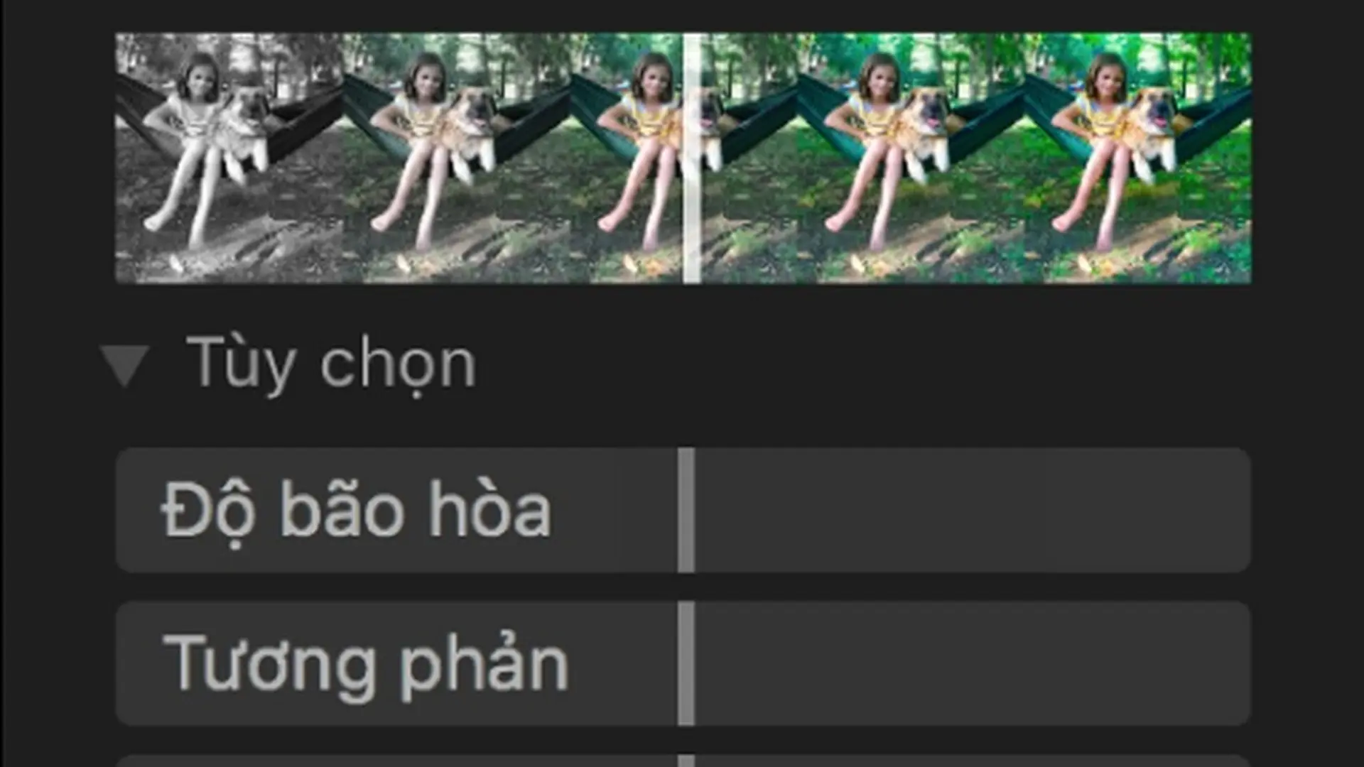 Điều chỉnh ánh sáng, độ phơi sáng, v.v của ảnh trên macOS Big Sur