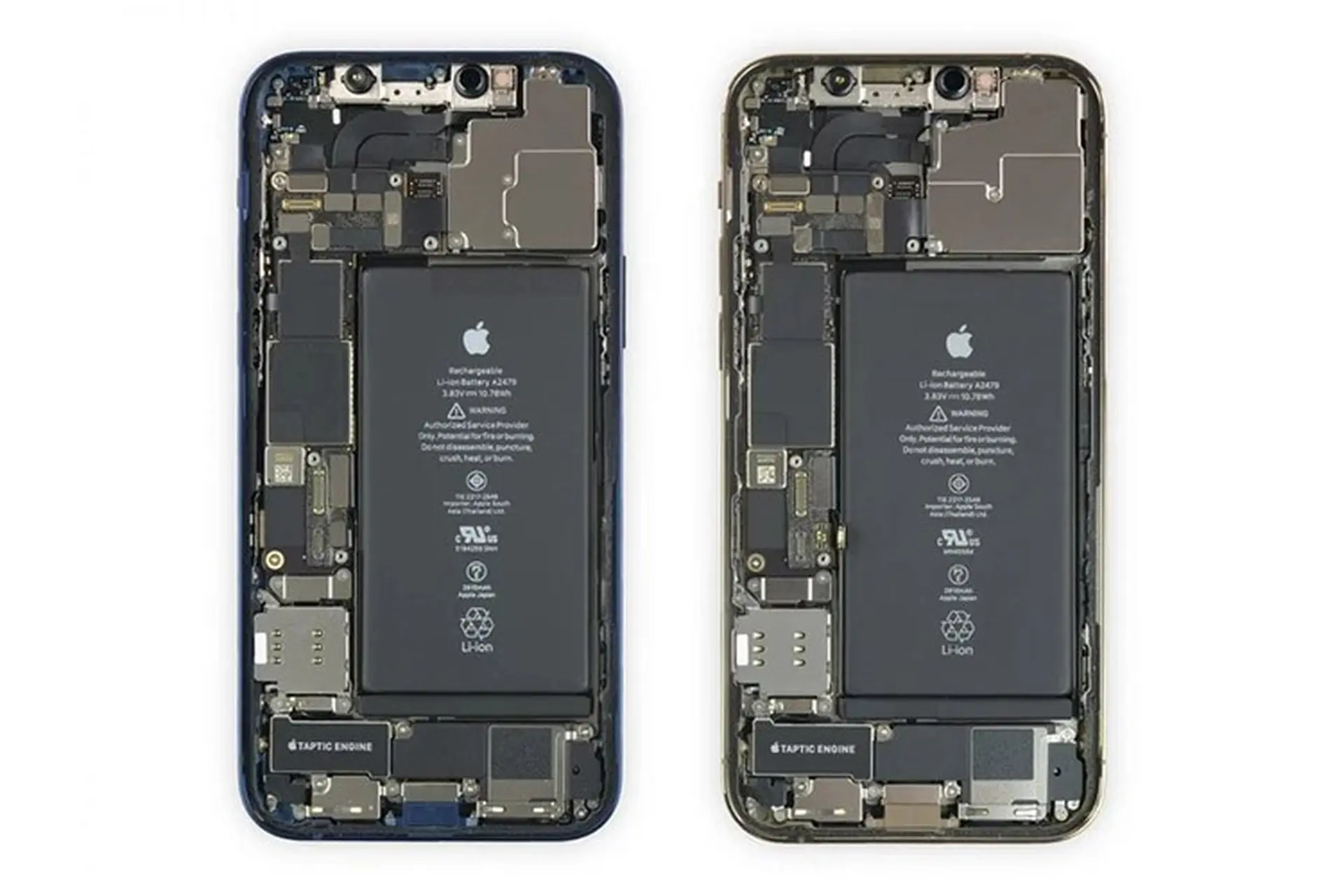 iFixit “mổ bụng” iPhone 12 và iPhone 12 Pro để khám phá nội thất