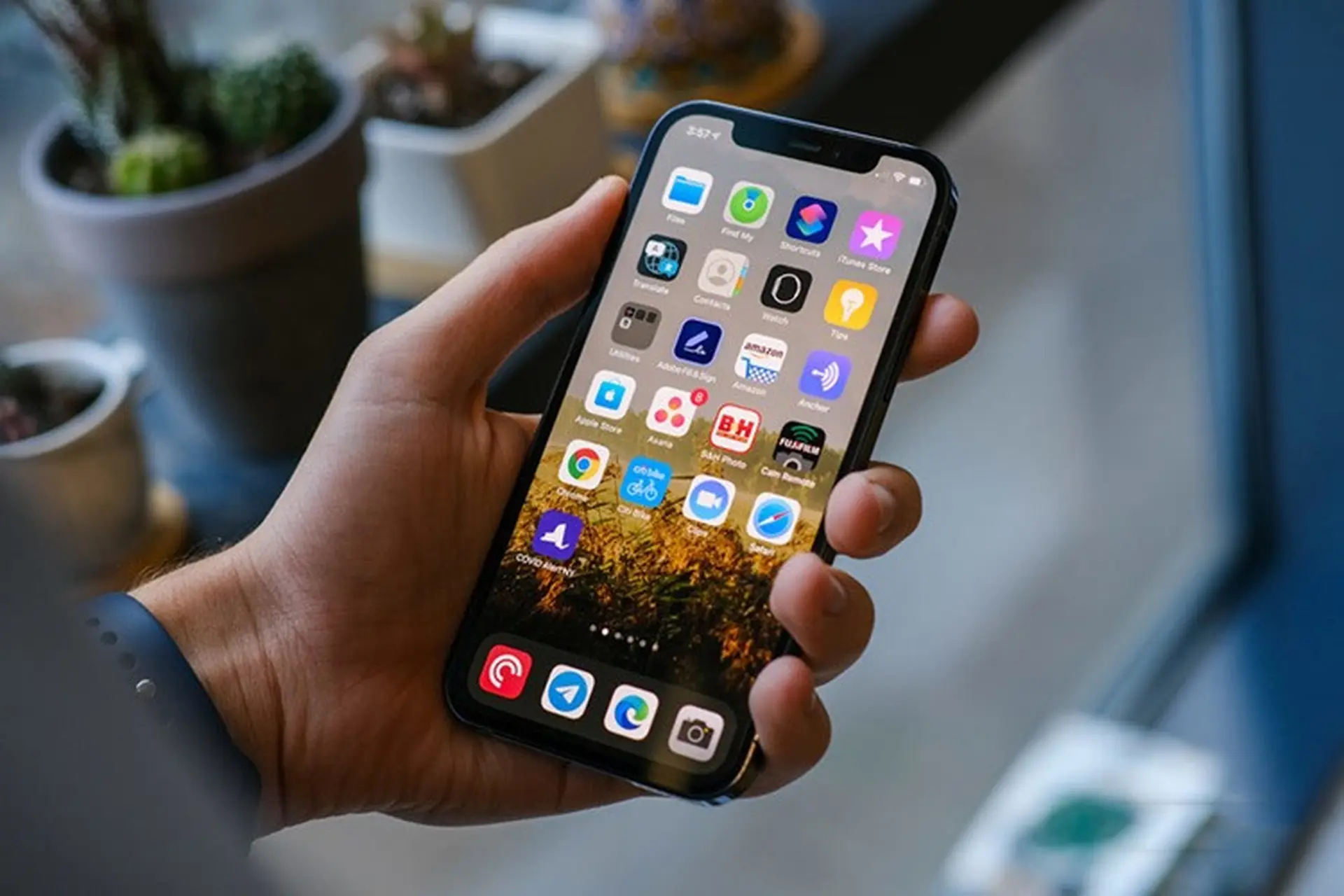 LG Display sẽ là đơn vị sản xuất màn hình iPhone 13 trong năm sau
