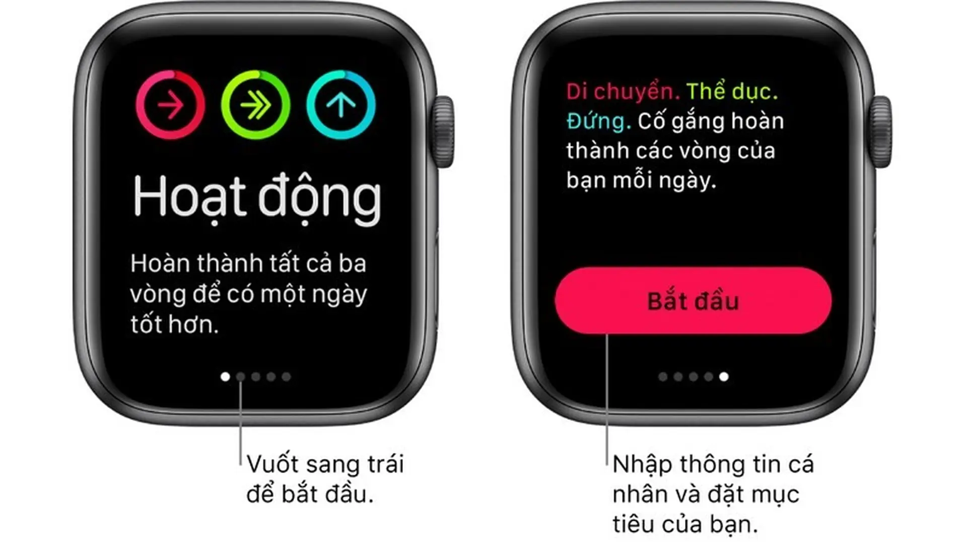 Theo dõi hoạt động hàng ngày với watchOS 6
