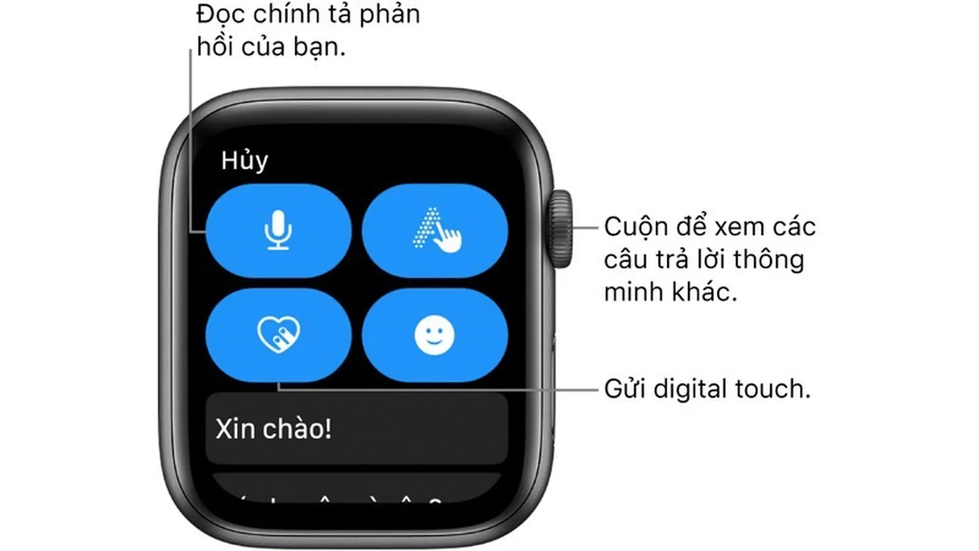 Gửi tin nhắn trên watchOS 6