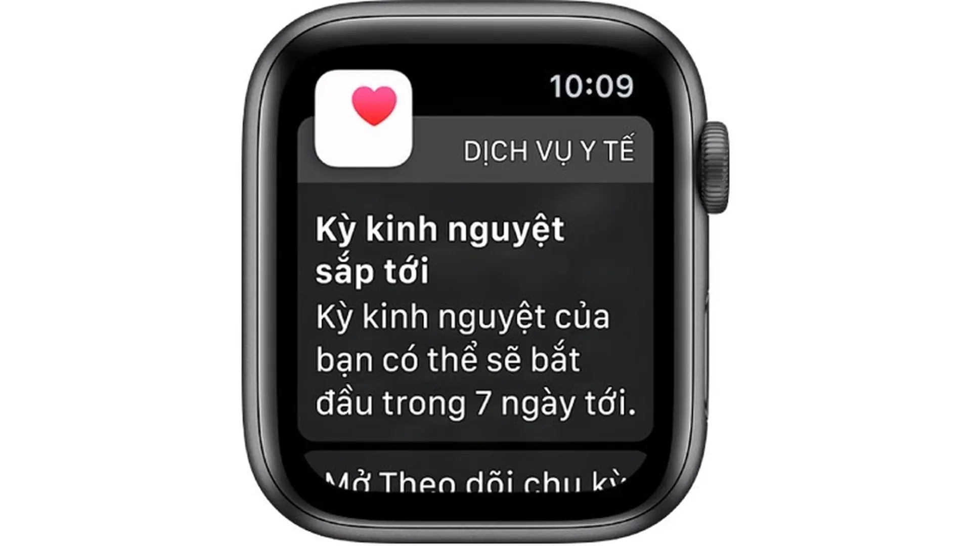 Điều chỉnh kích cỡ và độ đậm của văn bản trên watchOS 6