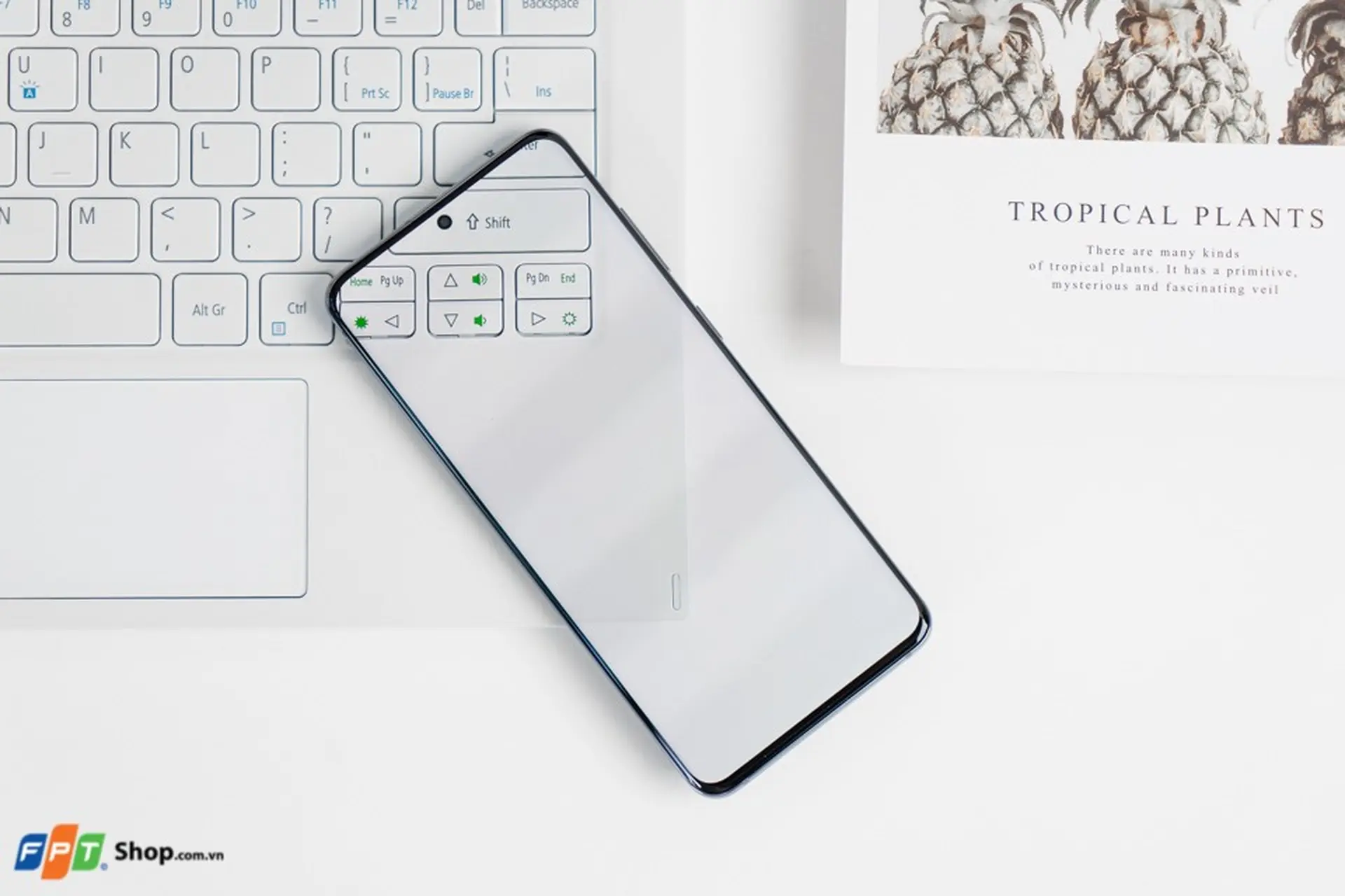 https://fptshop.com.vn/