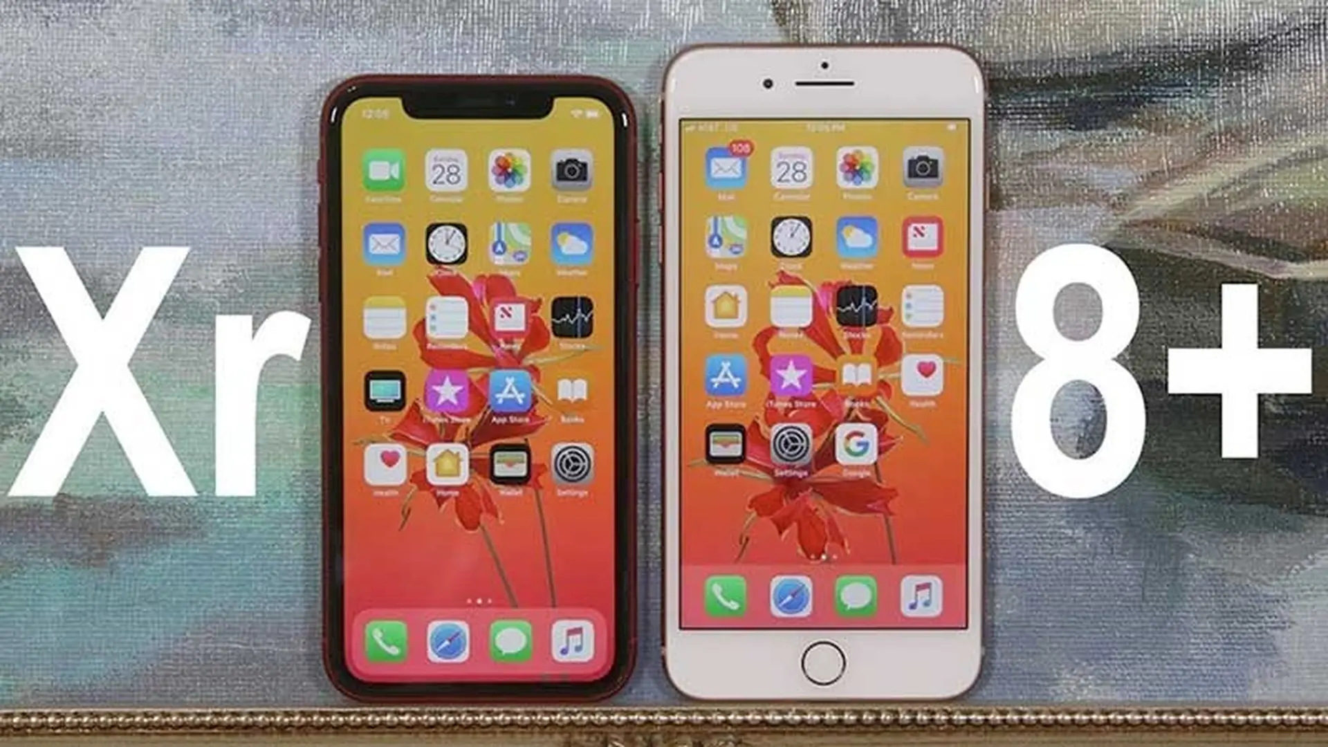 Chênh nhau 1 triệu, bạn nên mua iPhone XR hay iPhone 8 Plus?