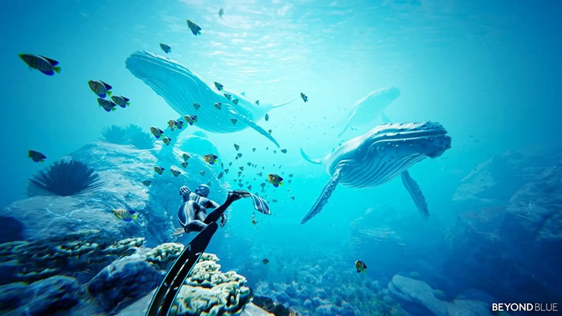 Beyond Blue, trò chơi thám hiểm đại dương tiếp tục bị trì hoãn