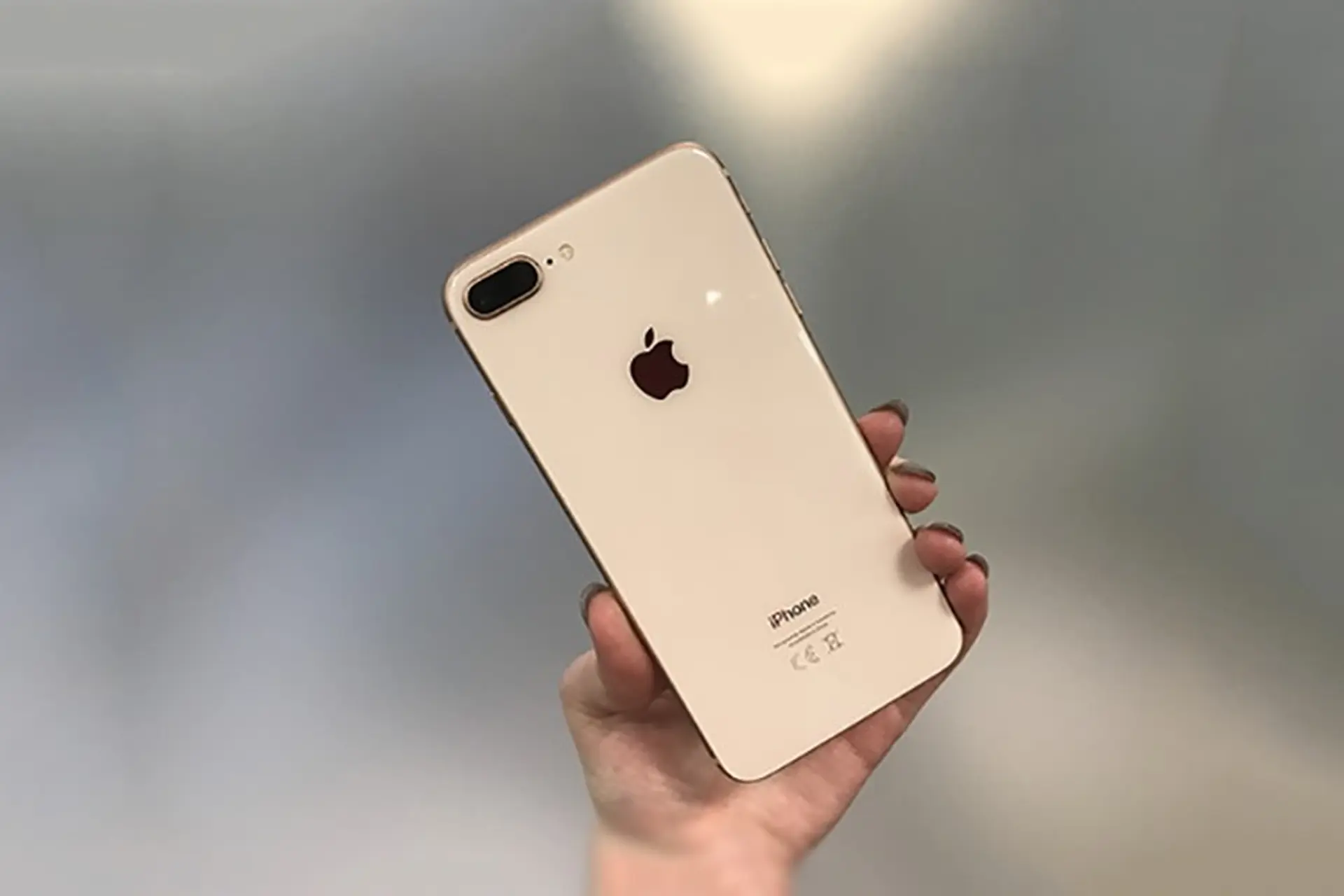 iPhone SE Plus 2020 sẽ có màn hình 5.5 inch, camera sau kép