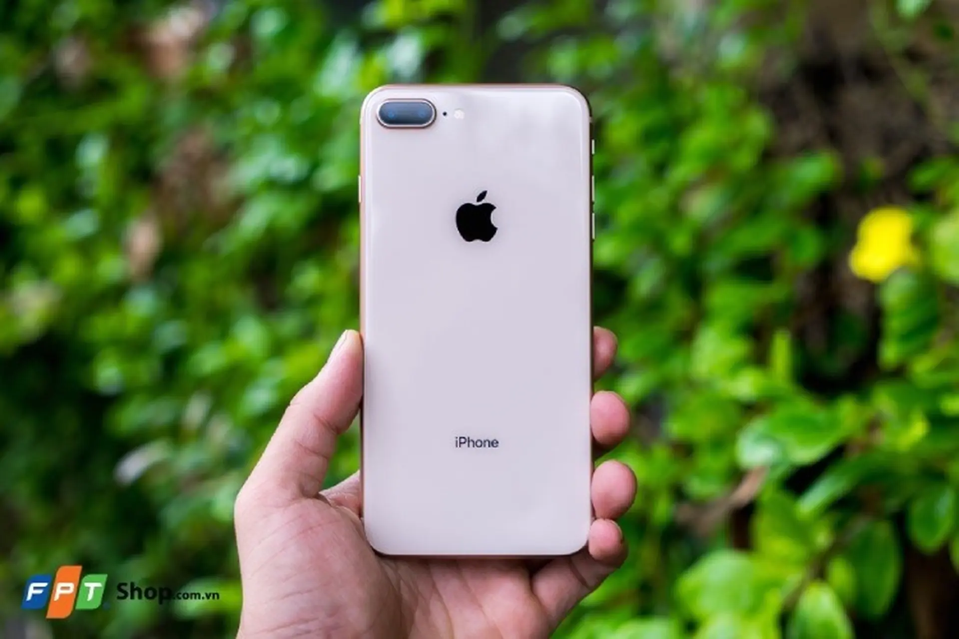 Chênh nhau tầm 1 triệu, chiếc iPhone này vẫn xứng đáng để xuống tay so với iPhone SE 2020