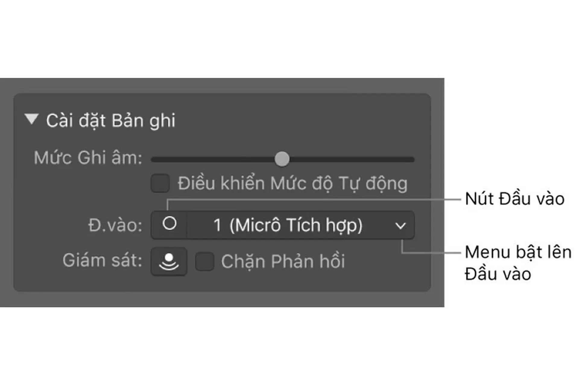 Trước khi ghi âm thanh trên Garageband