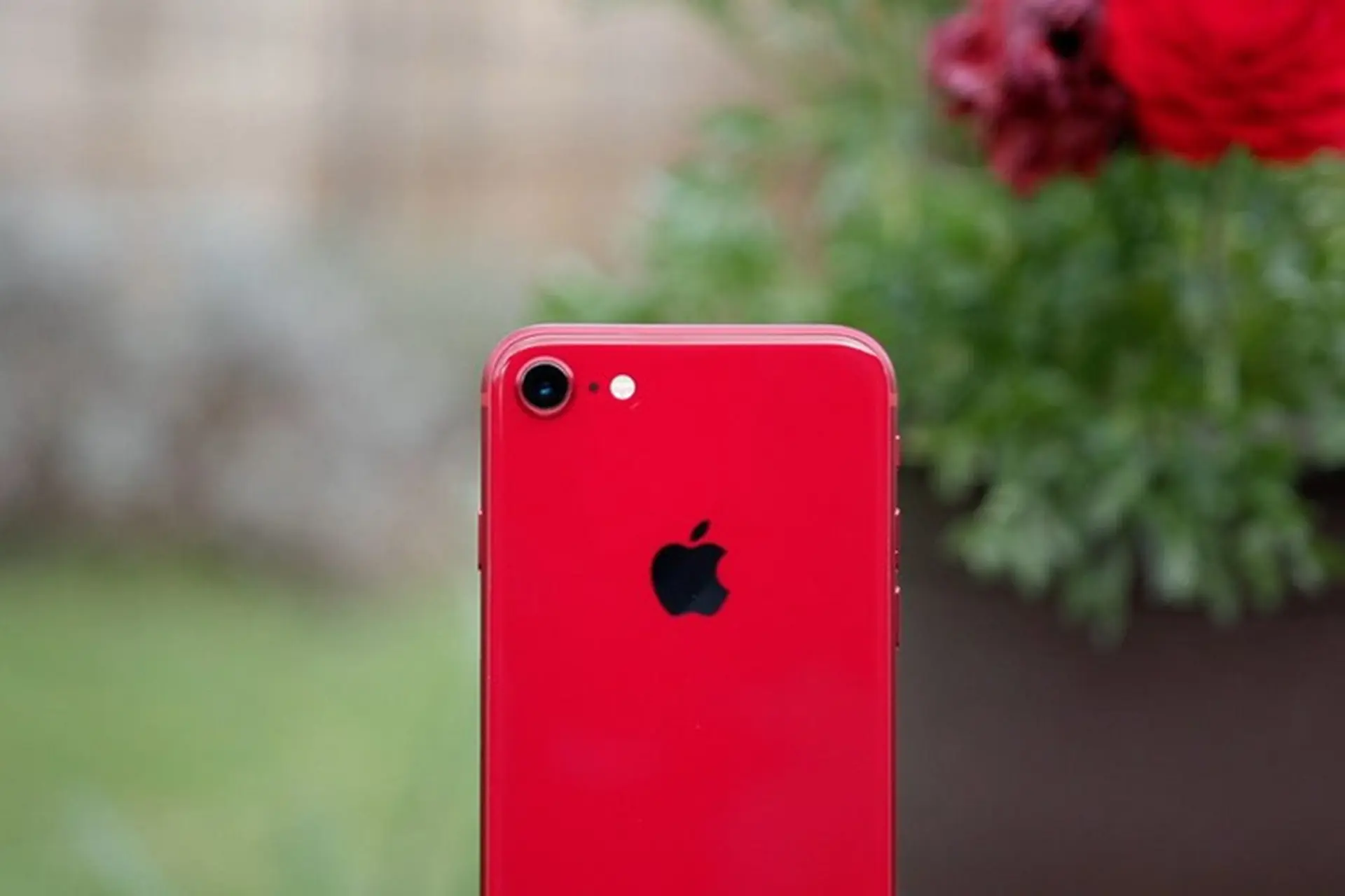 Apple iPhone SE 2020 sẽ ra mắt vào ngày hôm nay?