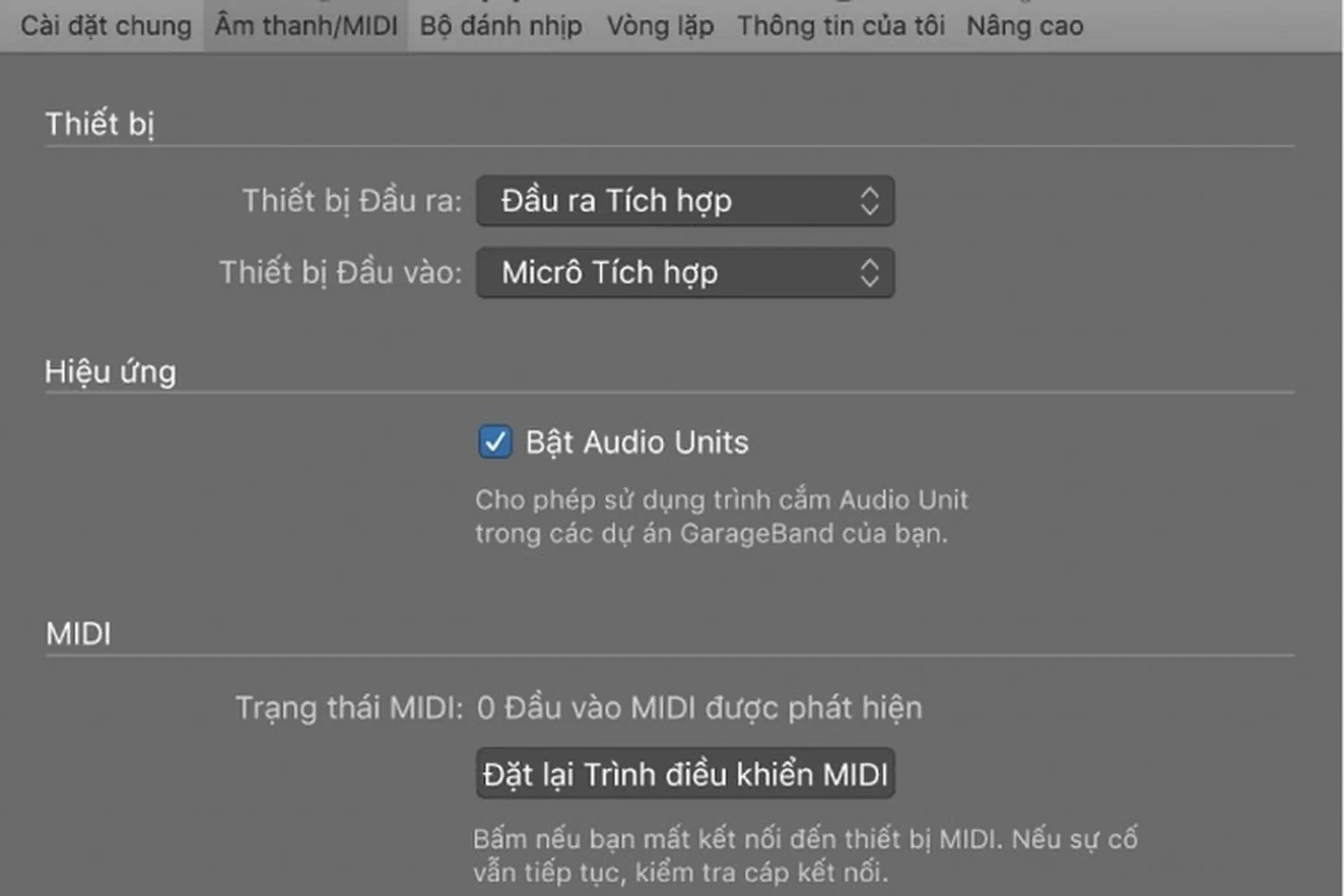 Tổng quan về tùy chọn GarageBand