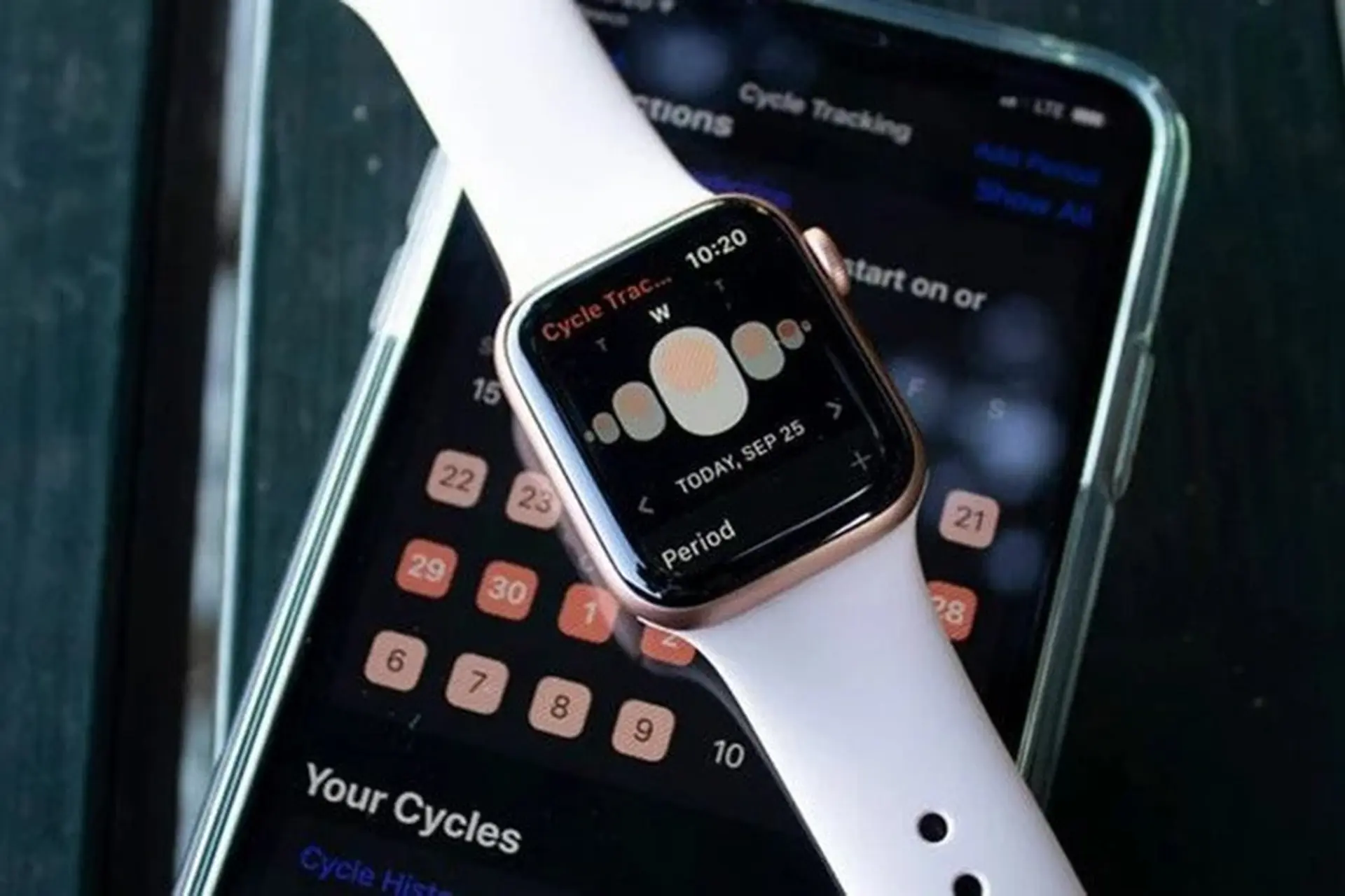 Apple Watch Series 6 có thể đo nồng độ oxy trong máu, theo dõi giấc ngủ, chip S6,...