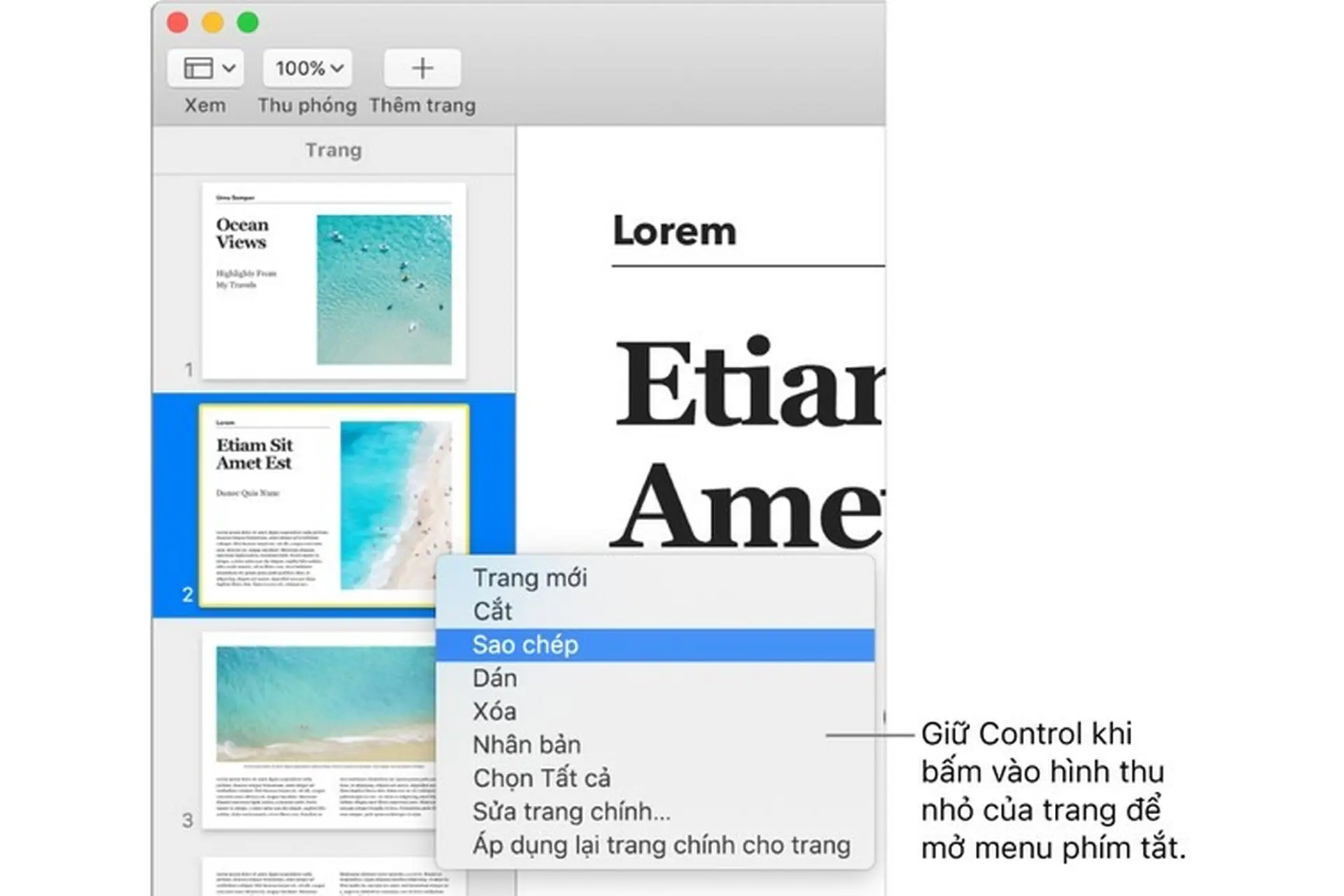 Thêm, sắp xếp lại và xóa trang trong Pages