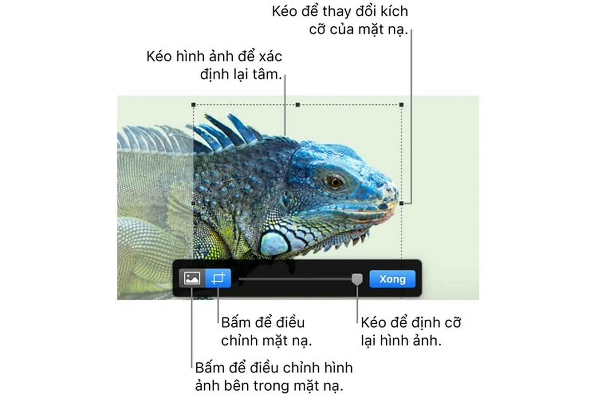 Sửa hình ảnh trong Pages