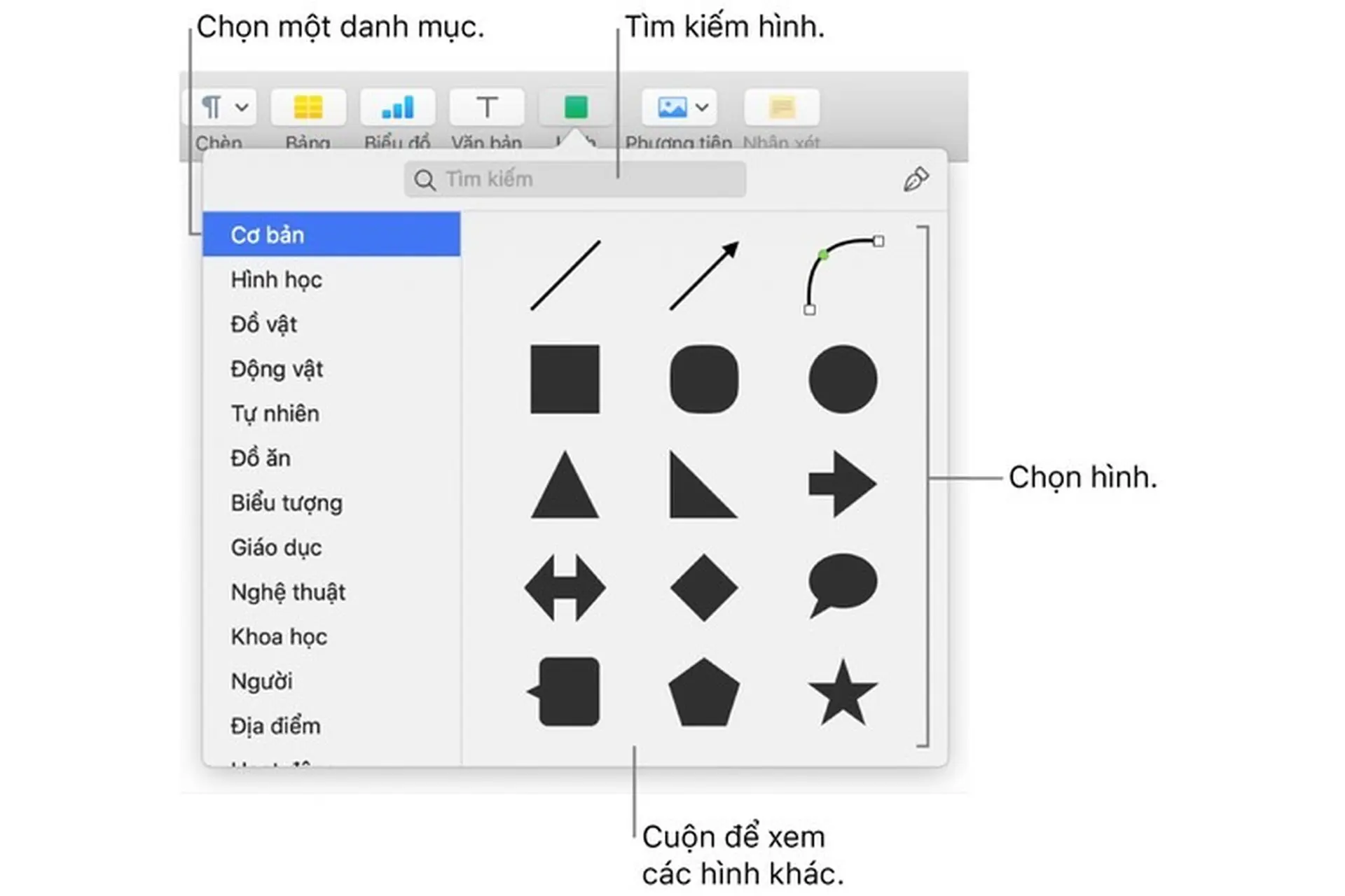 Thêm và sửa hình trong Pages