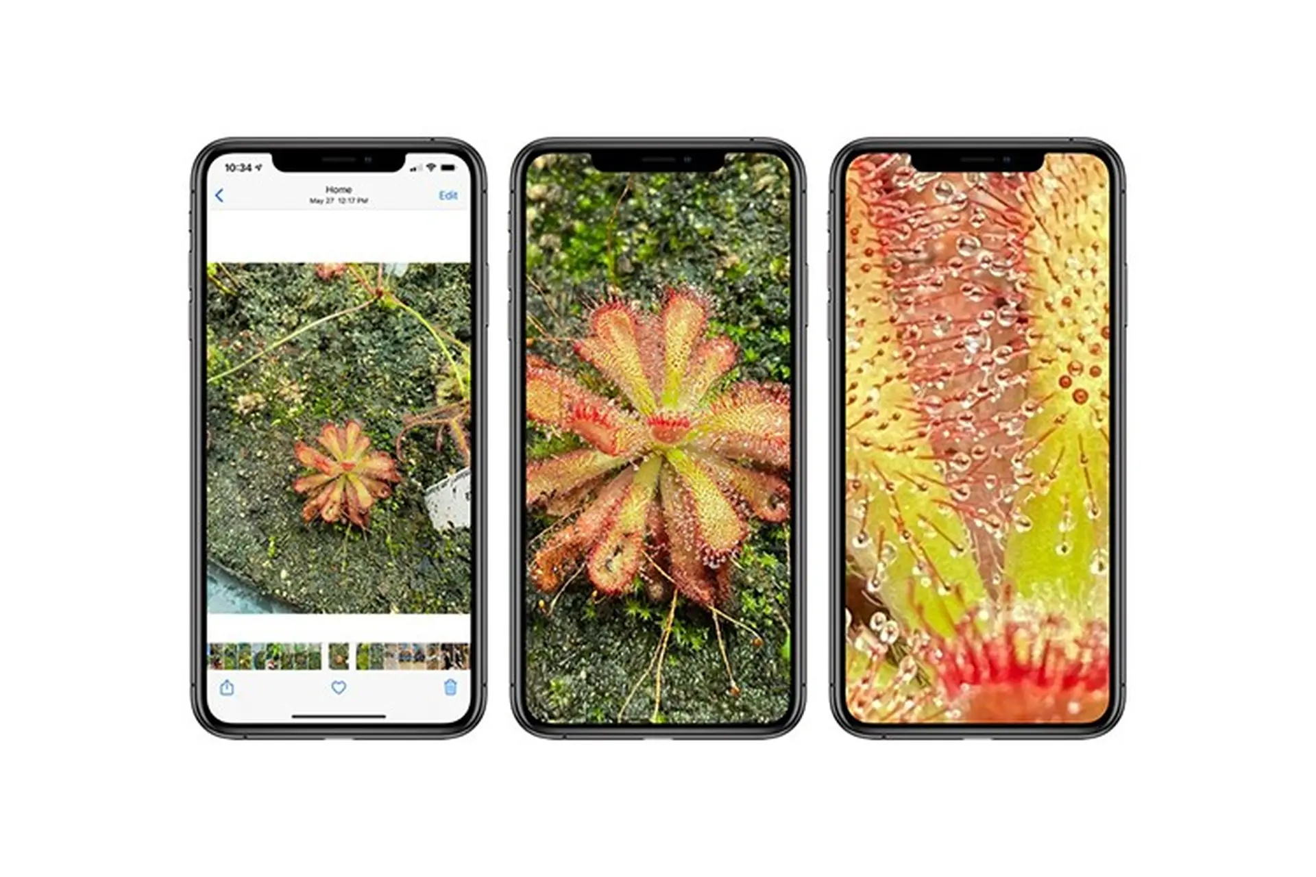 iOS 14 sẽ hỗ trợ phóng to hơn vào ảnh