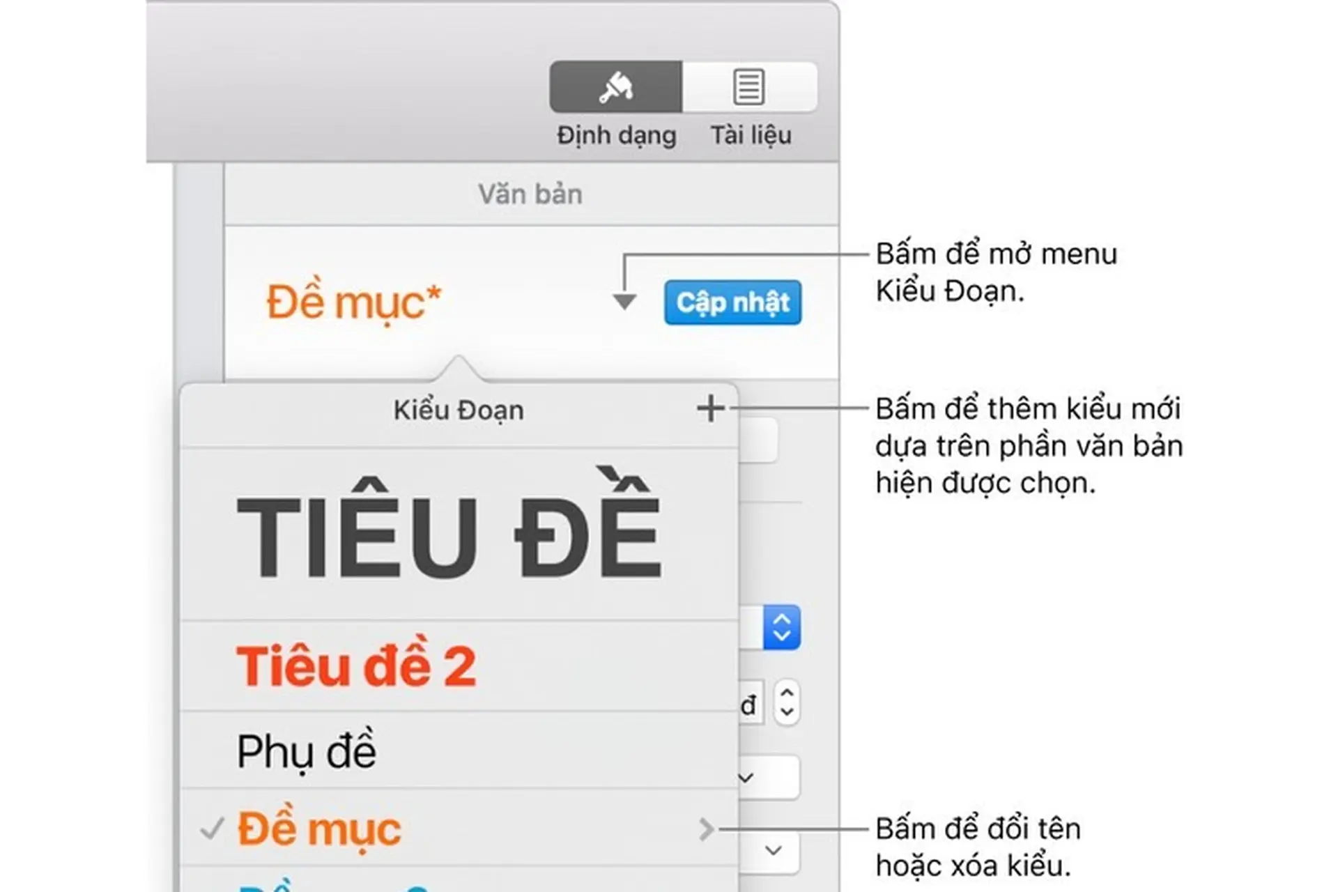 Giới thiệu về kiểu đoạn trong Pages