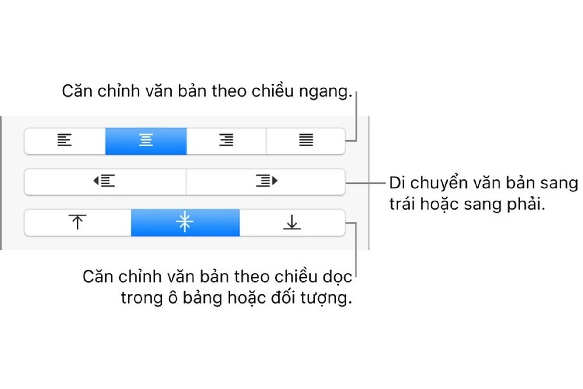 Căn chỉnh và căn đều văn bản trong Pages
