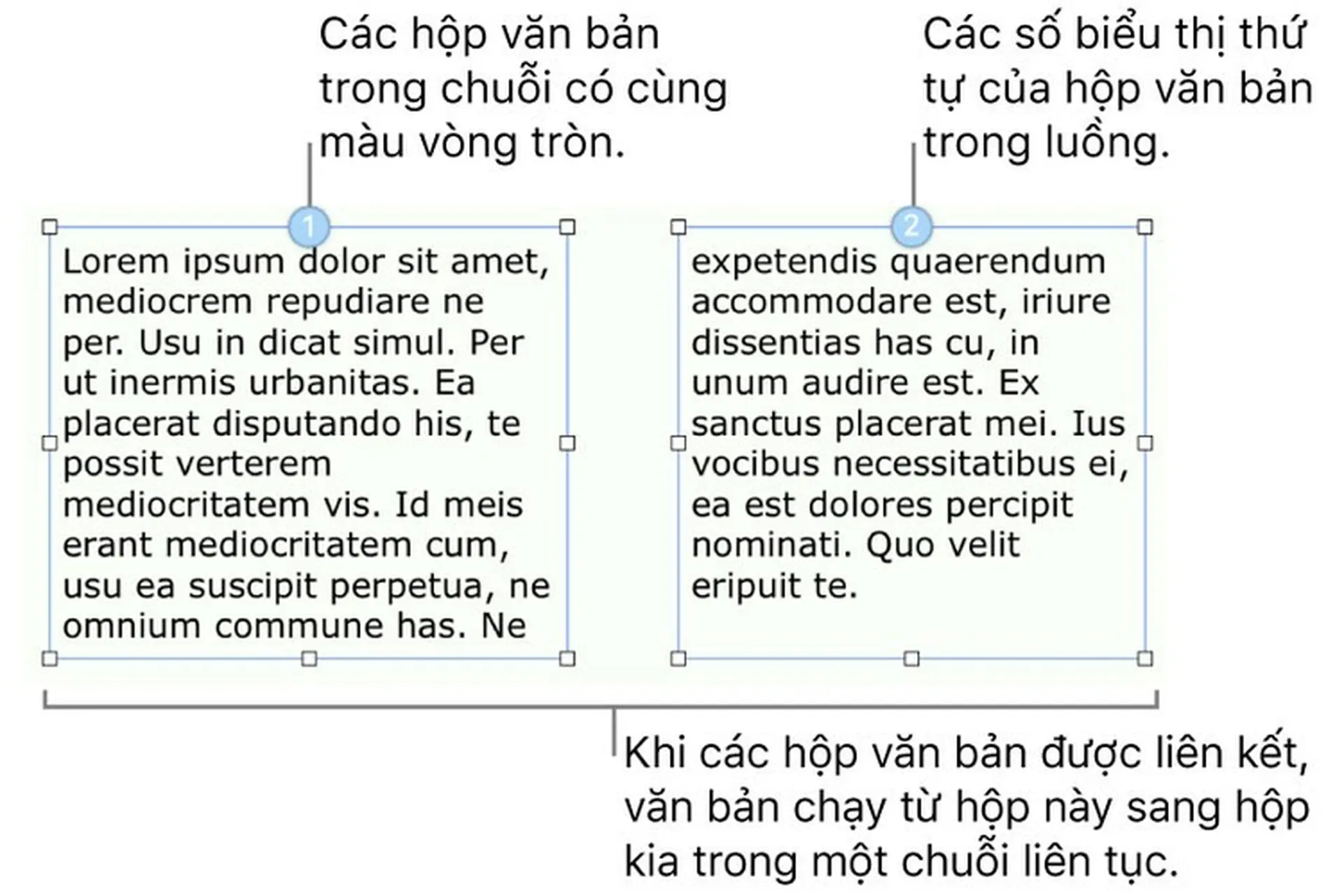 Liên kết các hộp văn bản trong Pages