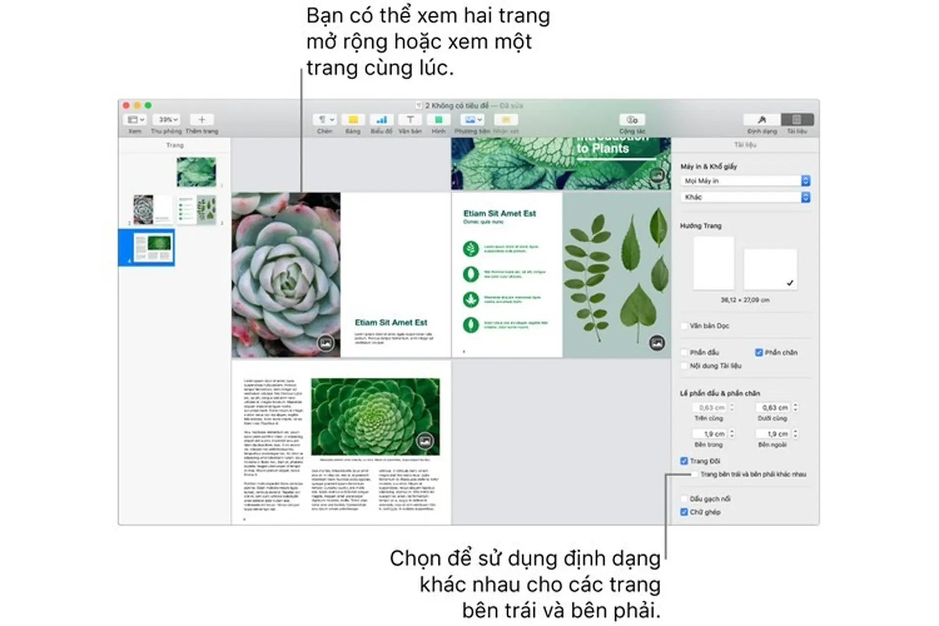 Thiết lập trang đôi trong tài liệu Pages trên máy Mac