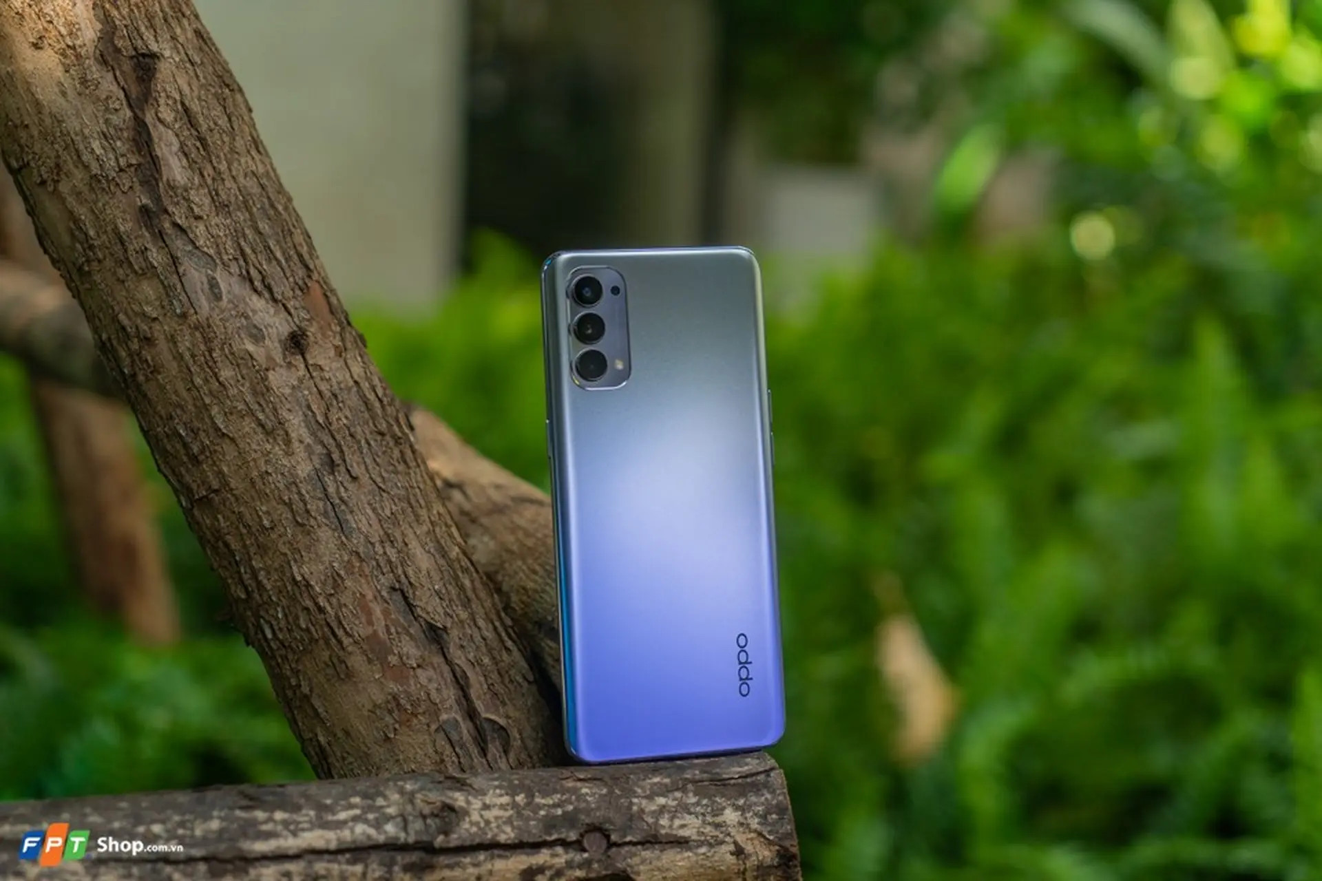 https://fptshop.com.vn/