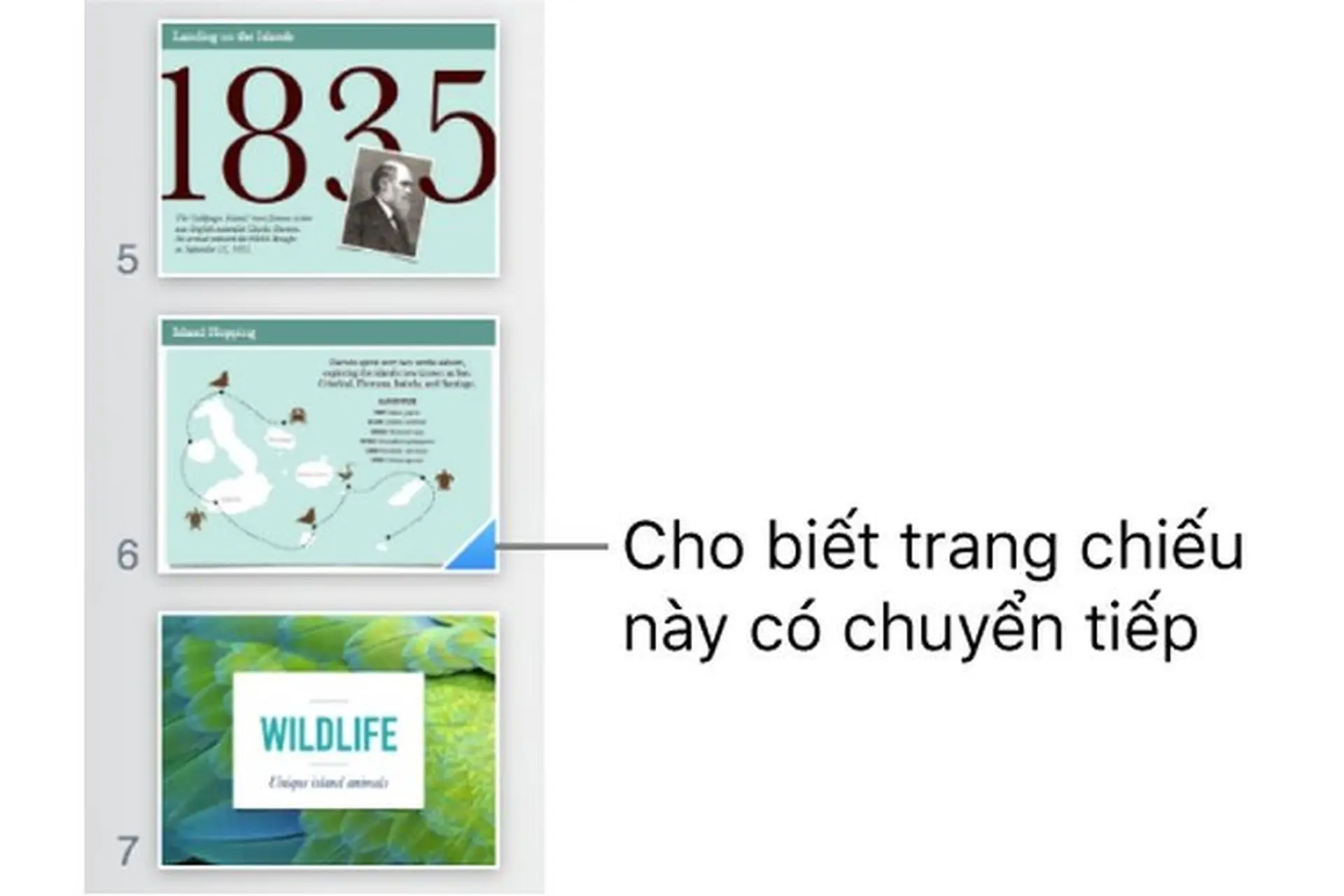 Thêm hiệu ứng chuyển tiếp giữa các trang chiếu trong Keynote