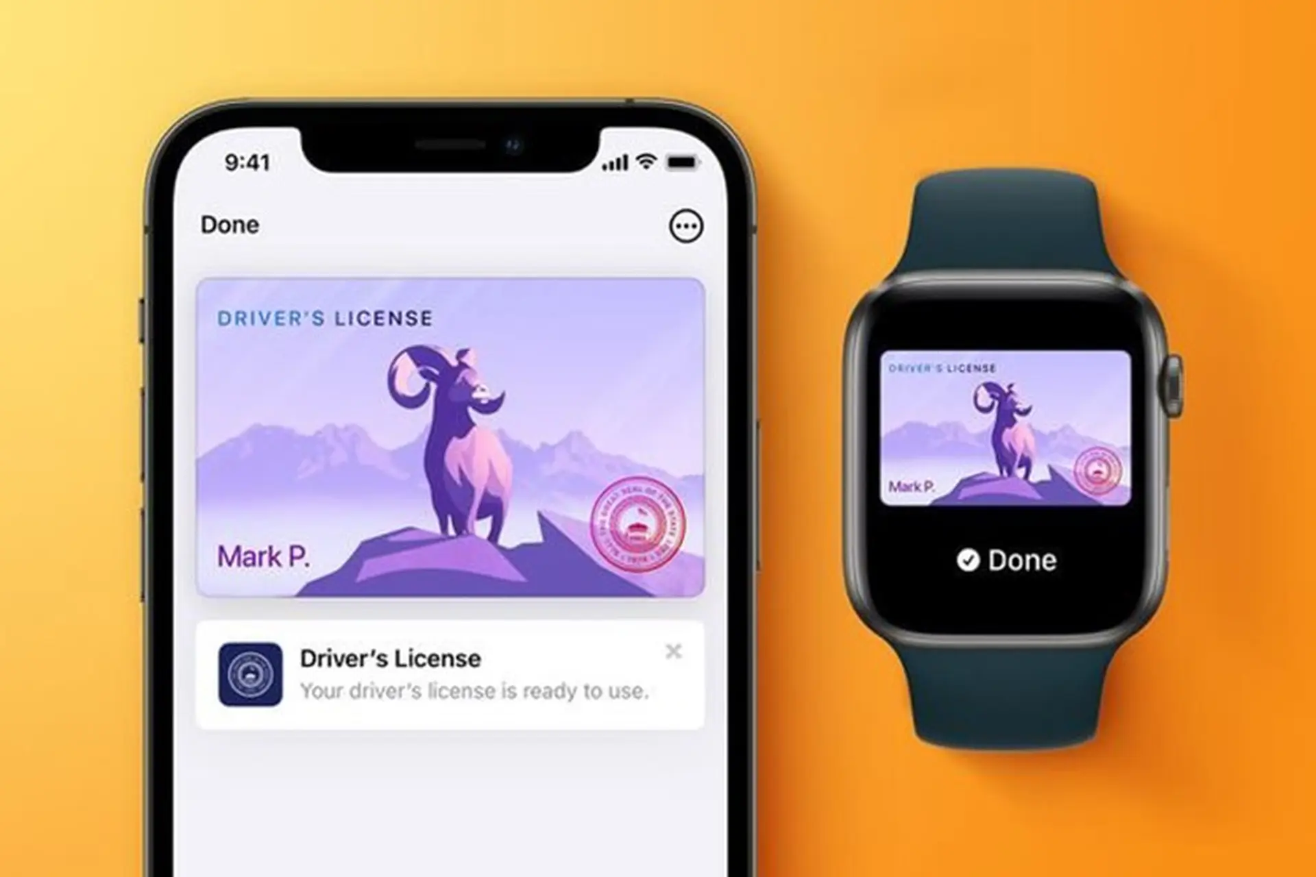Apple hoãn giới thiệu tính năng thêm giấy phép lái xe vào iPhone của iOS 15 cho đến năm sau