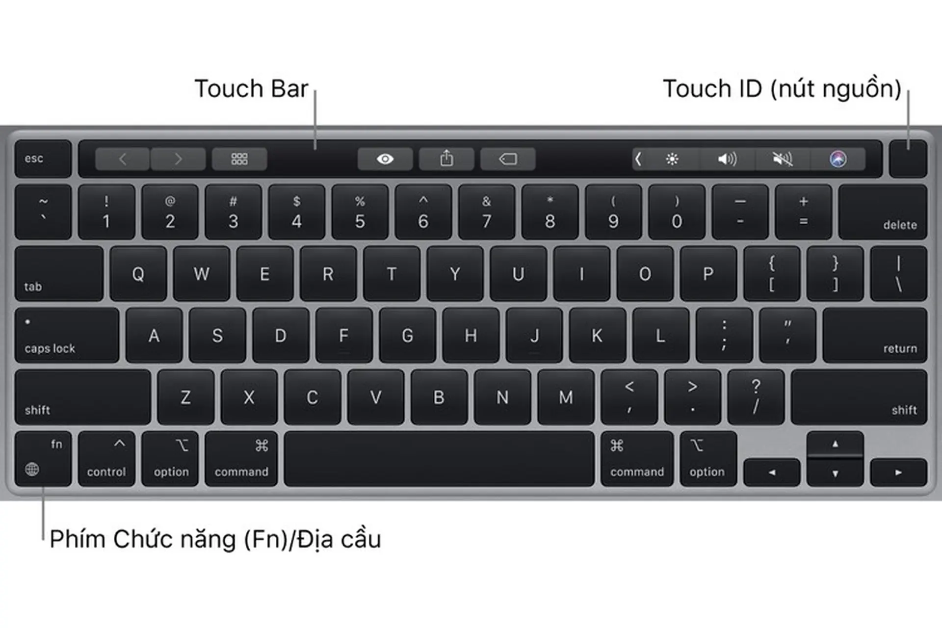 Sử dụng Touch Bar và Touch ID trên macOS Big Sur