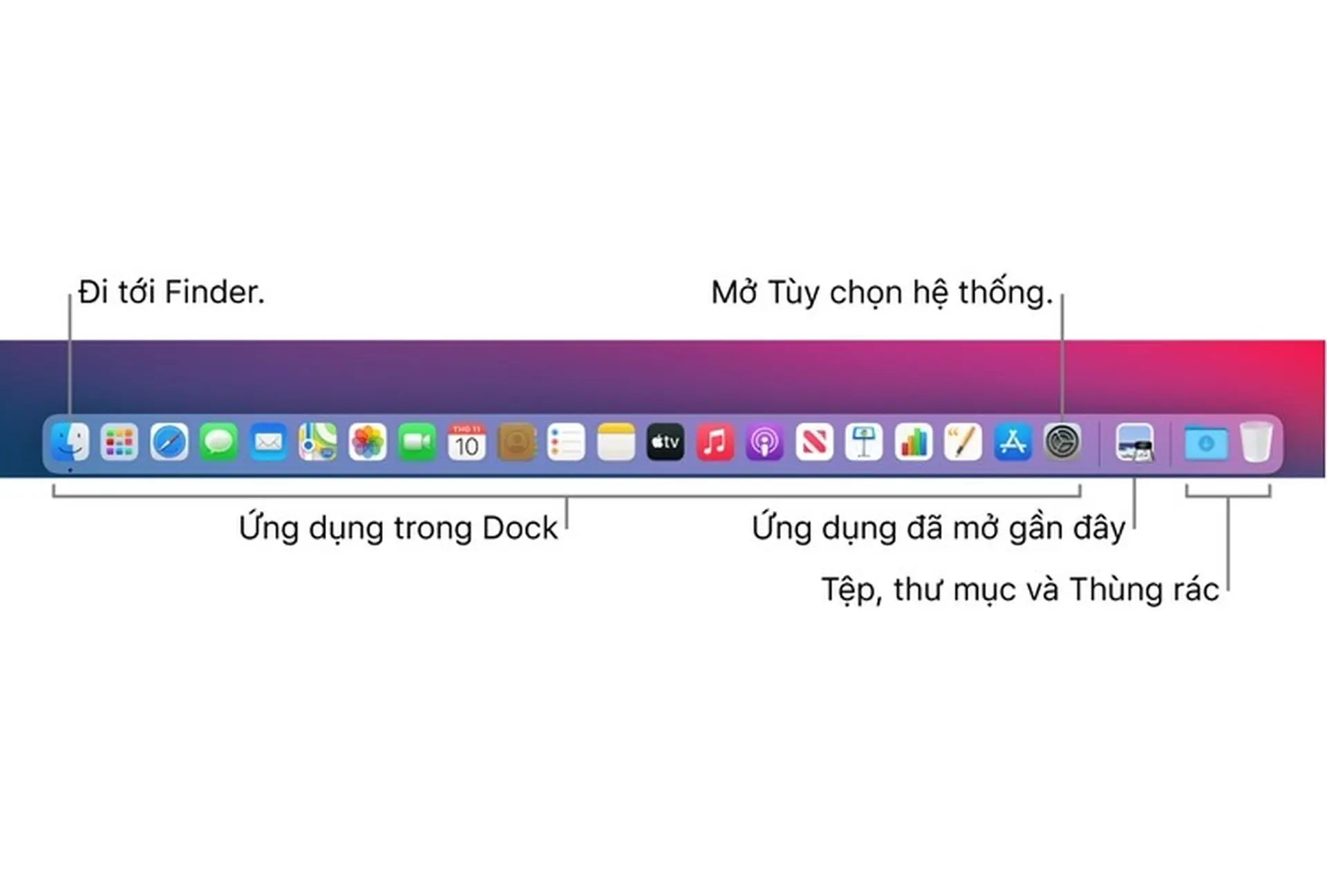 Tìm hiểu thanh Dock của macOS Big Sur trên máy Mac của bạn 