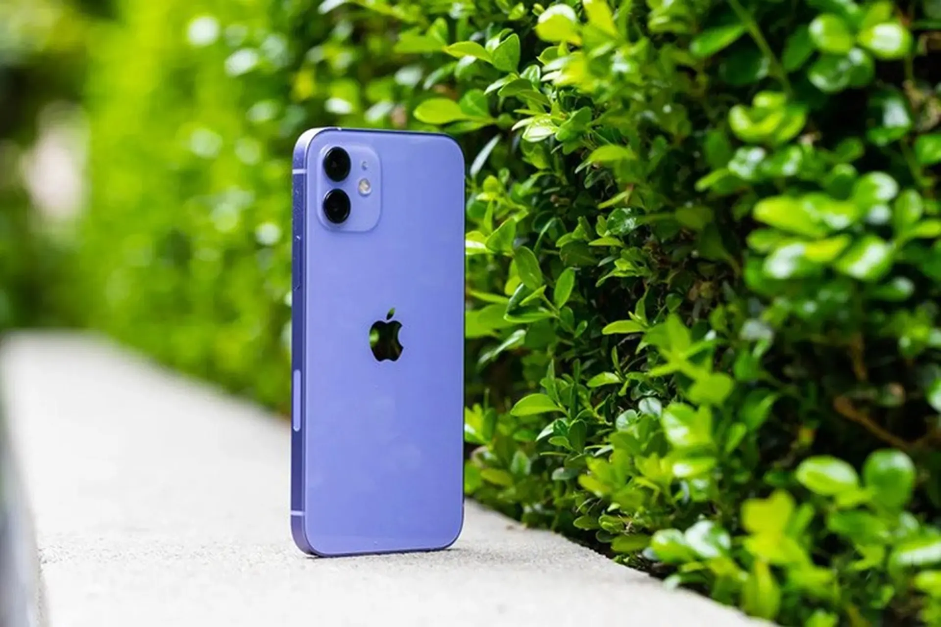 Người dùng iPhone phàn nàn iOS 14.6 gây hao pin và nóng máy