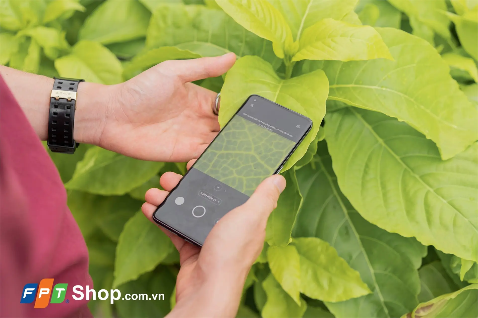 https://fptshop.com.vn/