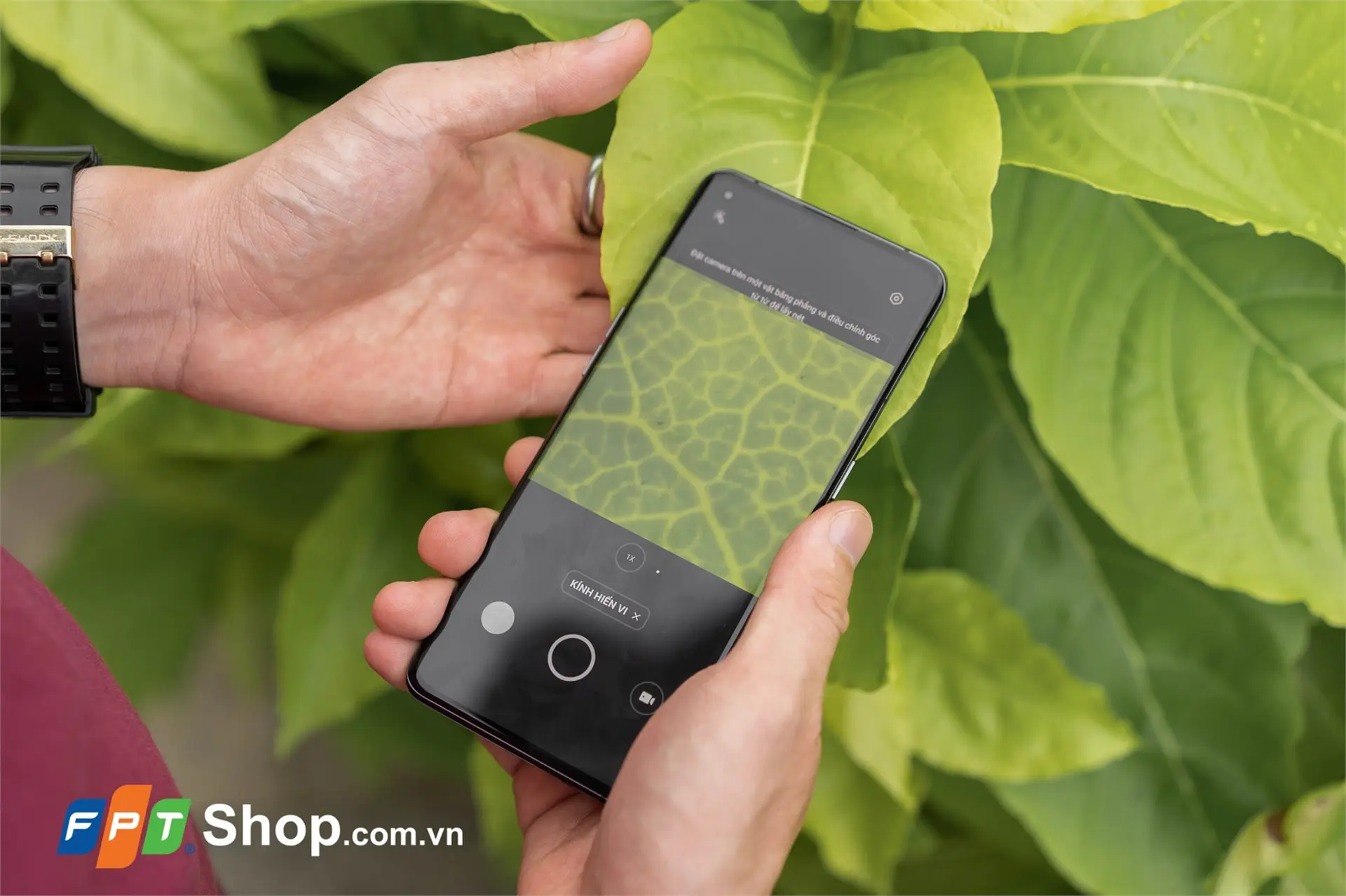 https://fptshop.com.vn/