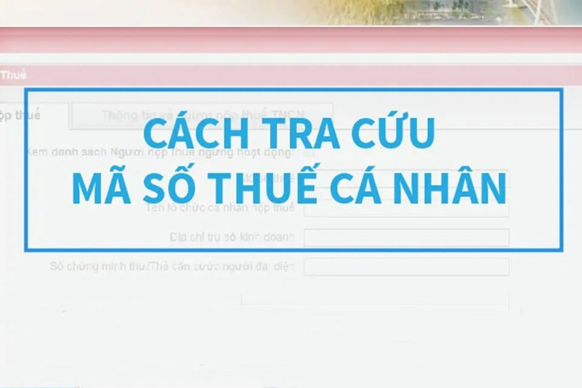 Cách tra cứu mã số thuế cá nhân bằng CCCD tại Tổng Cục Thuế