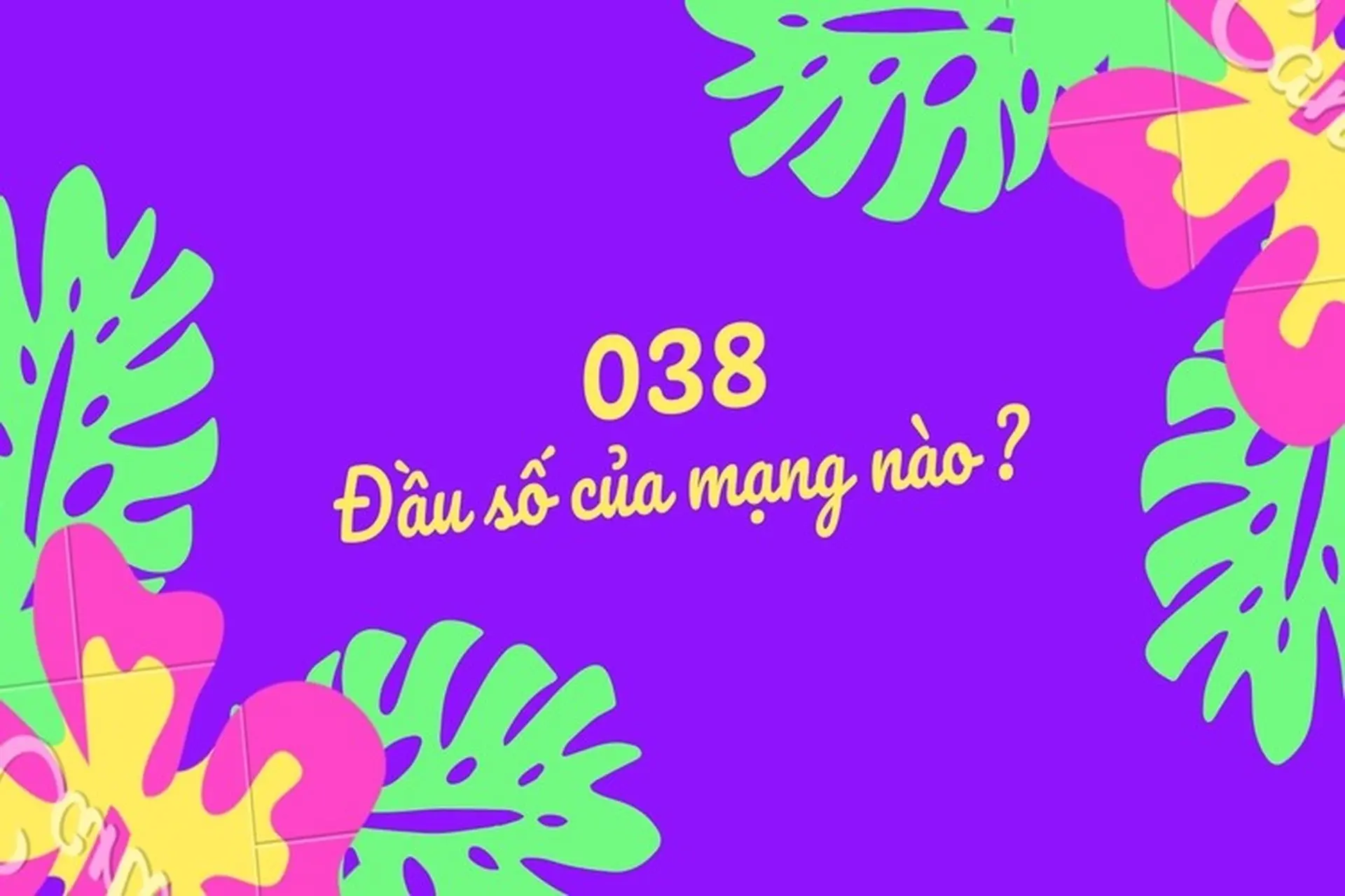Đầu số 038 là mạng gì? Xem ý nghĩa phong thủy và cách mua SIM với đầu số 038