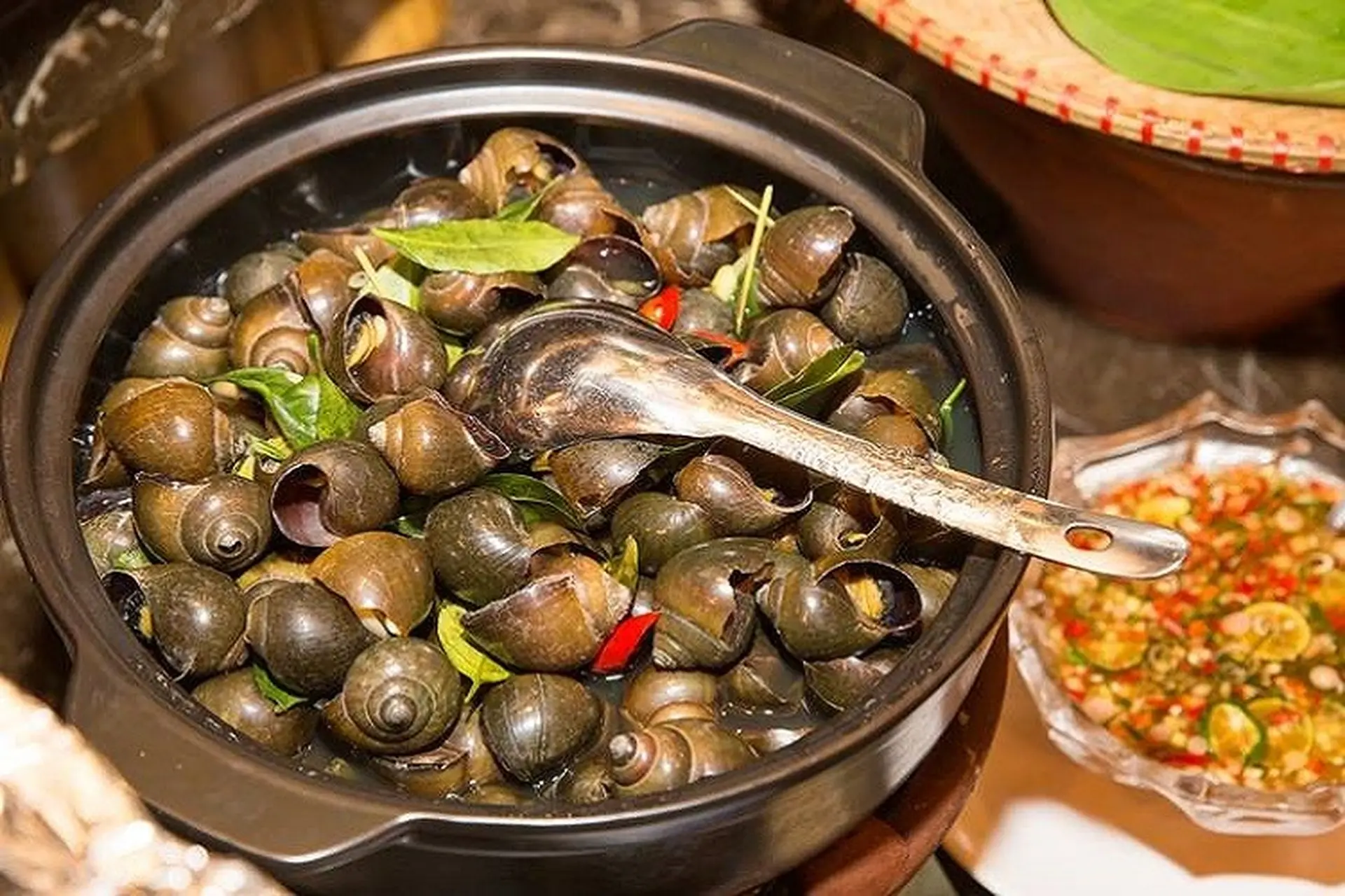 Chia sẻ cách luộc ốc ngon giòn và bí quyết sơ chế ốc hết sạch nhớt, không tanh