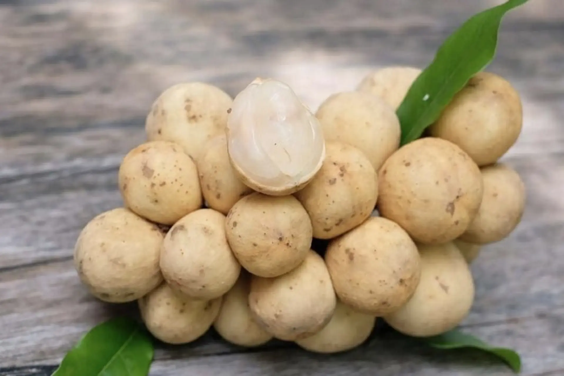 Trái bòn bon và những công dụng cực tốt, chỉ cần biết cách ăn là thành “thuốc quý" 