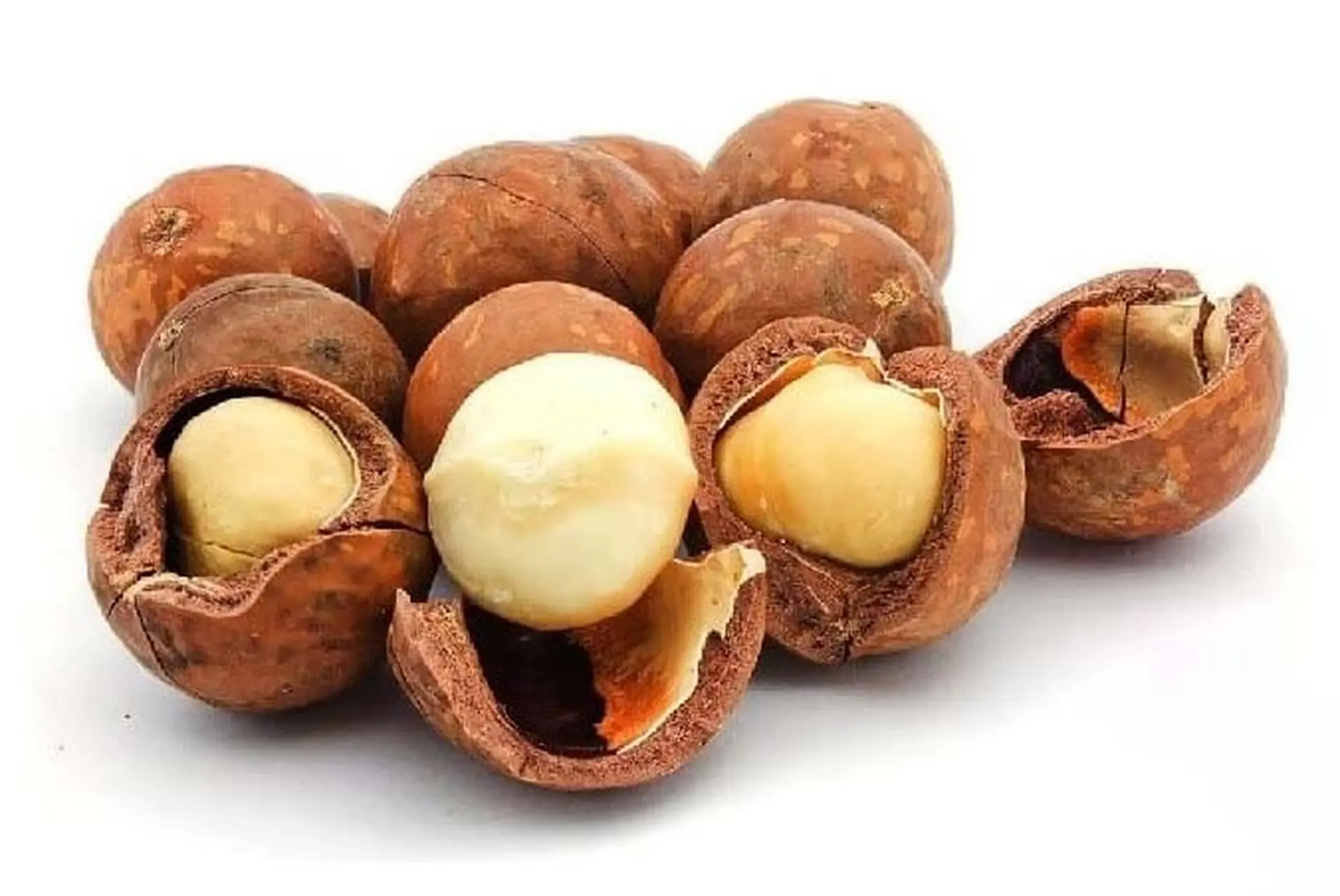 Tất tần tật về hạt macca: Công dụng, giá bán và 4 loại hạt macca phổ biến trên thị trường