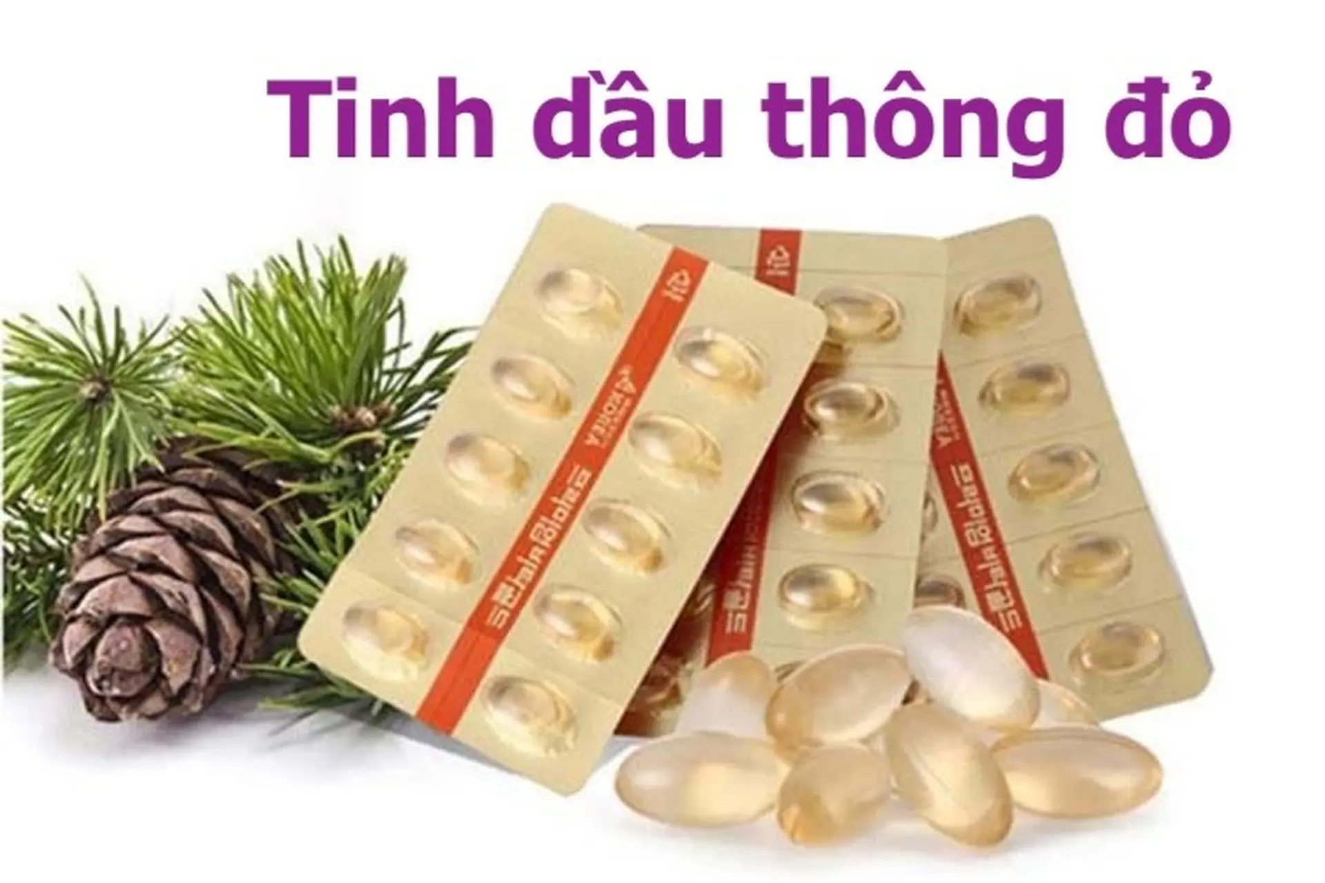 Tinh dầu thông đỏ Hàn Quốc là gì? Công dụng có thực sự "thần thánh" như lời đồn?