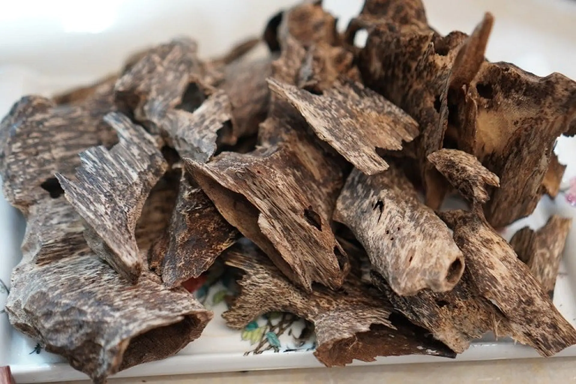 Trầm hương là gì? Những sự thật về công dụng và giá trị của trầm hương với con người