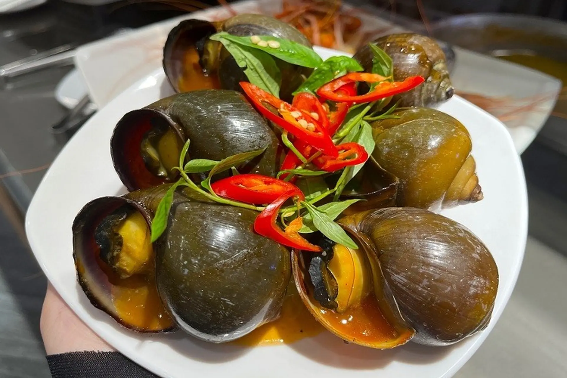 Het duurt 14 maanden voordat u het apparaat kunt gebruiken