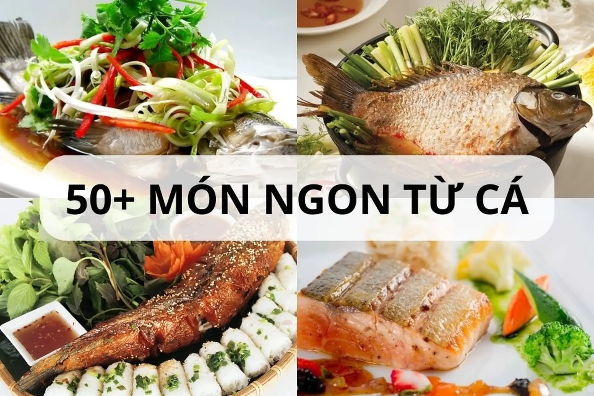 Tổng hợp 50 món ngon từ cá thơm ngon bổ dưỡng, lưu lại ngay để lên thực đơn cho gia đình
