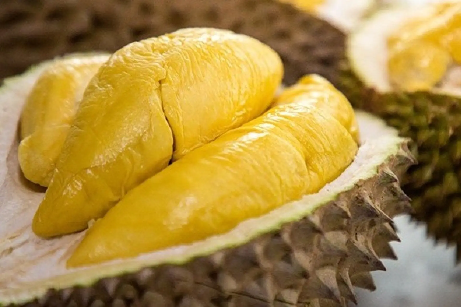 Khám phá sầu riêng Ri6: Đặc điểm, nguồn gốc và giá bán mới nhất