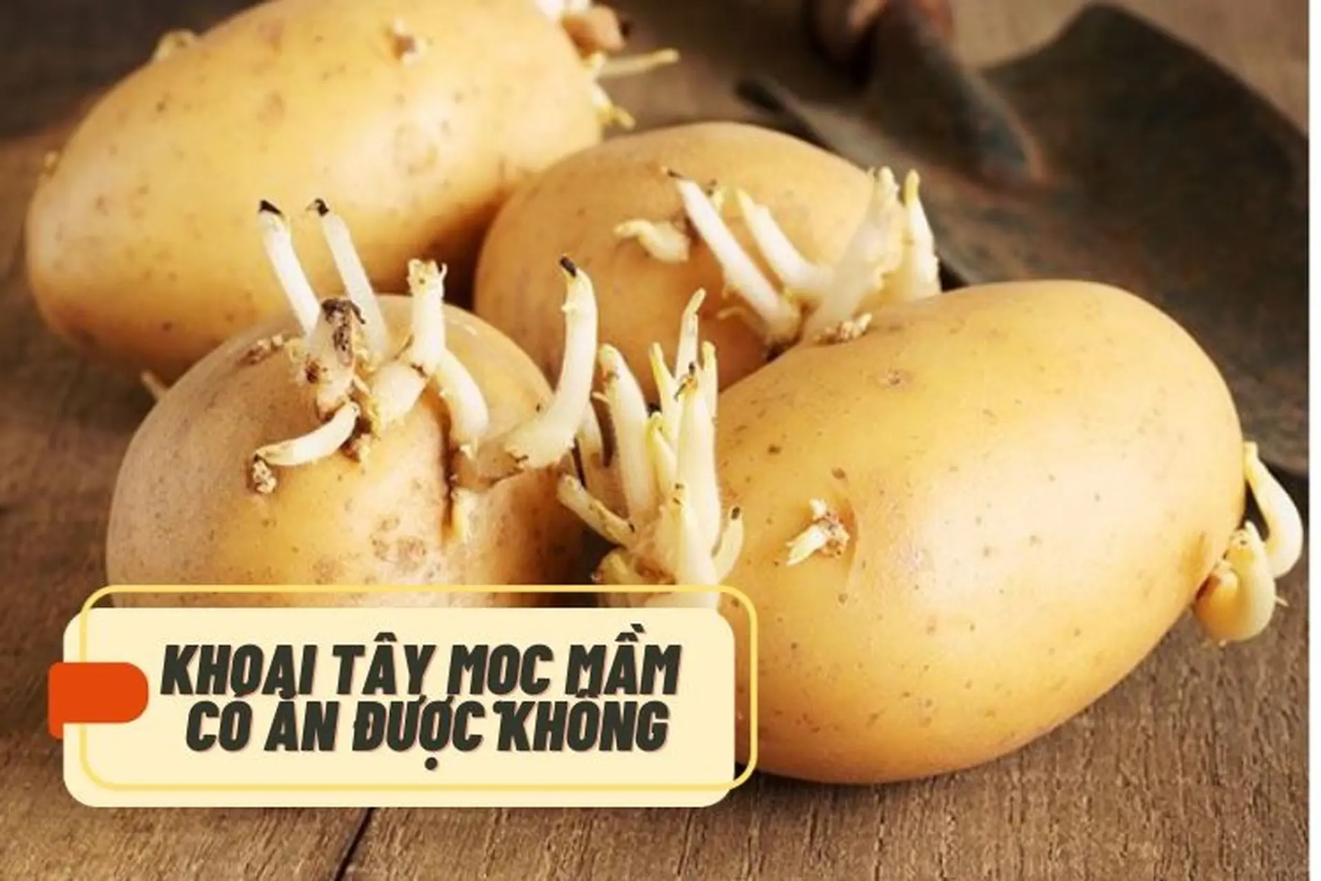 Khoai tây mọc mầm có ăn được không? Cách phòng tránh ngộ độc và bảo quản đúng