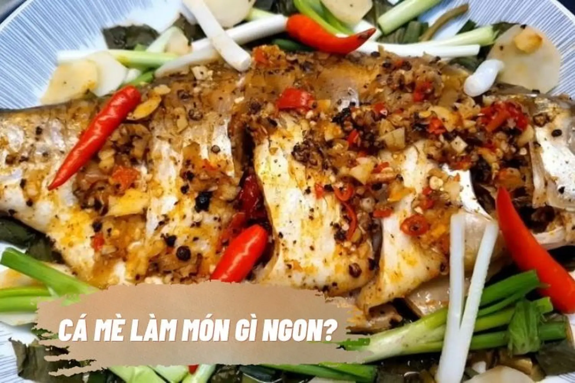 Cá mè làm món gì ngon? Tổng hợp 10 gợi ý hoàn hảo để bạn "ghi điểm" trong mắt gia đình
