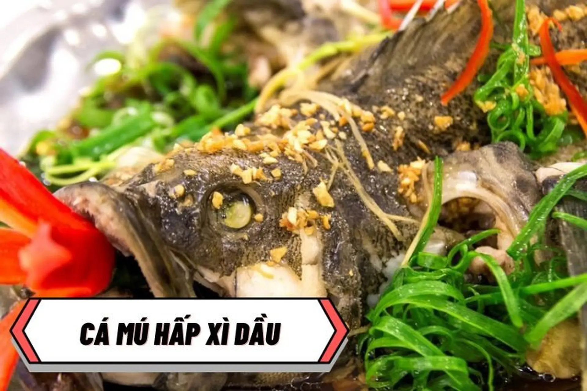 Bật mí cách nấu cá mú hấp xì dầu ngon miễn chê, “chuẩn” nhà hàng ngay tại nhà!